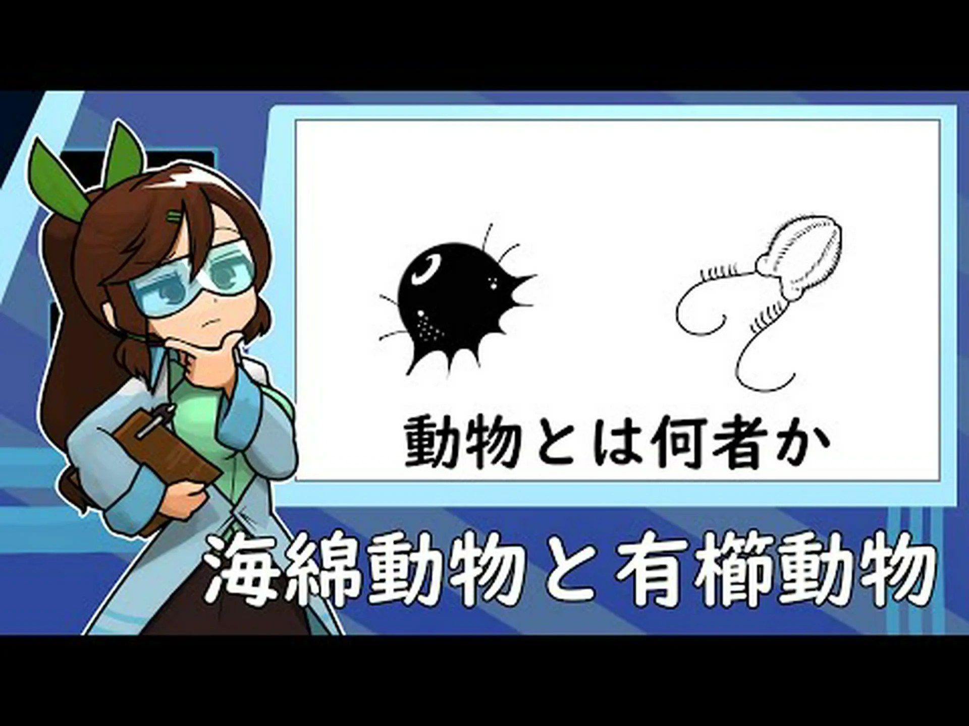 最古の動物: 有櫛動物が最初のものでした 最古の動物: 有櫛動物が最初のものでした