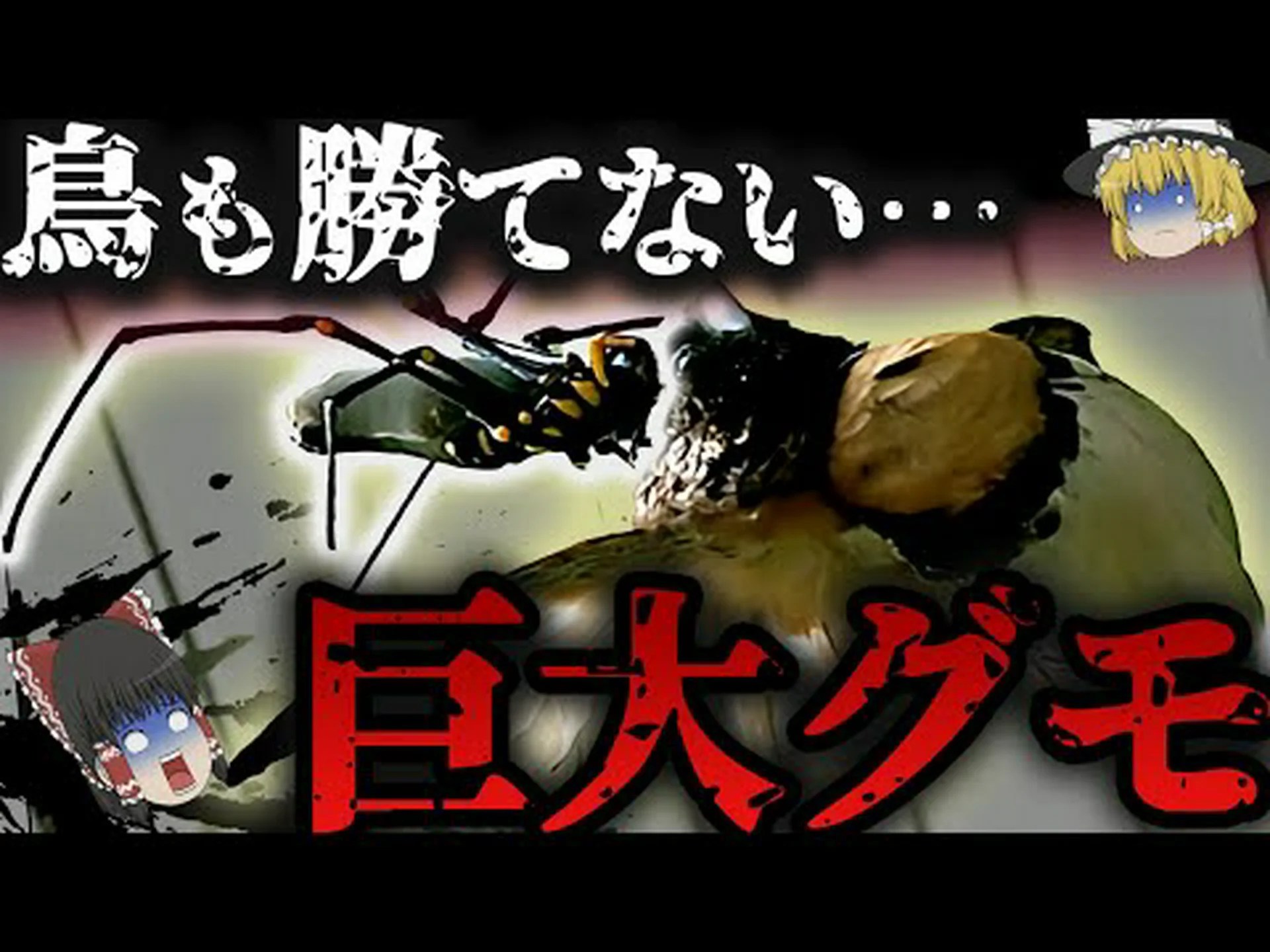 巧妙に厄介な天然物質:クモの毒 巧妙に厄介な天然物質:クモの毒