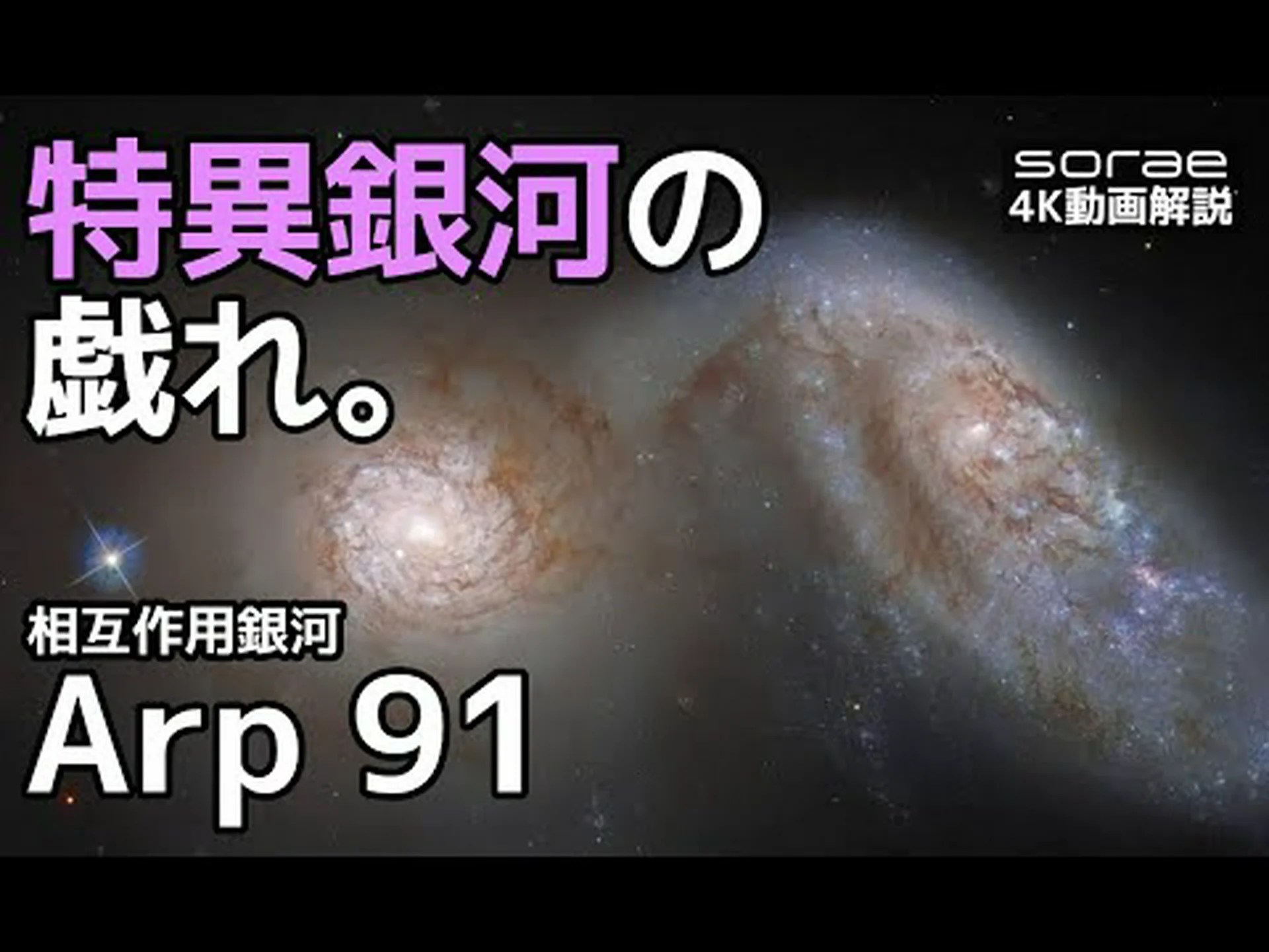 危険な相互作用 危険な相互作用