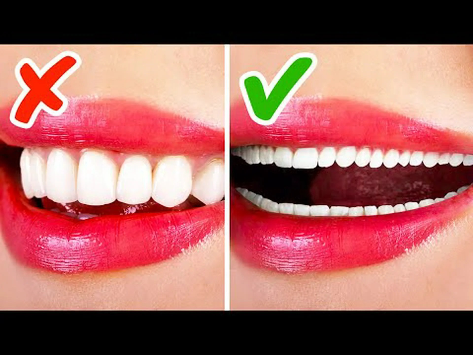 完璧な進化: 自然には欠陥のある設計がたくさんあります 完璧な進化: 自然には欠陥のある設計がたくさんあります