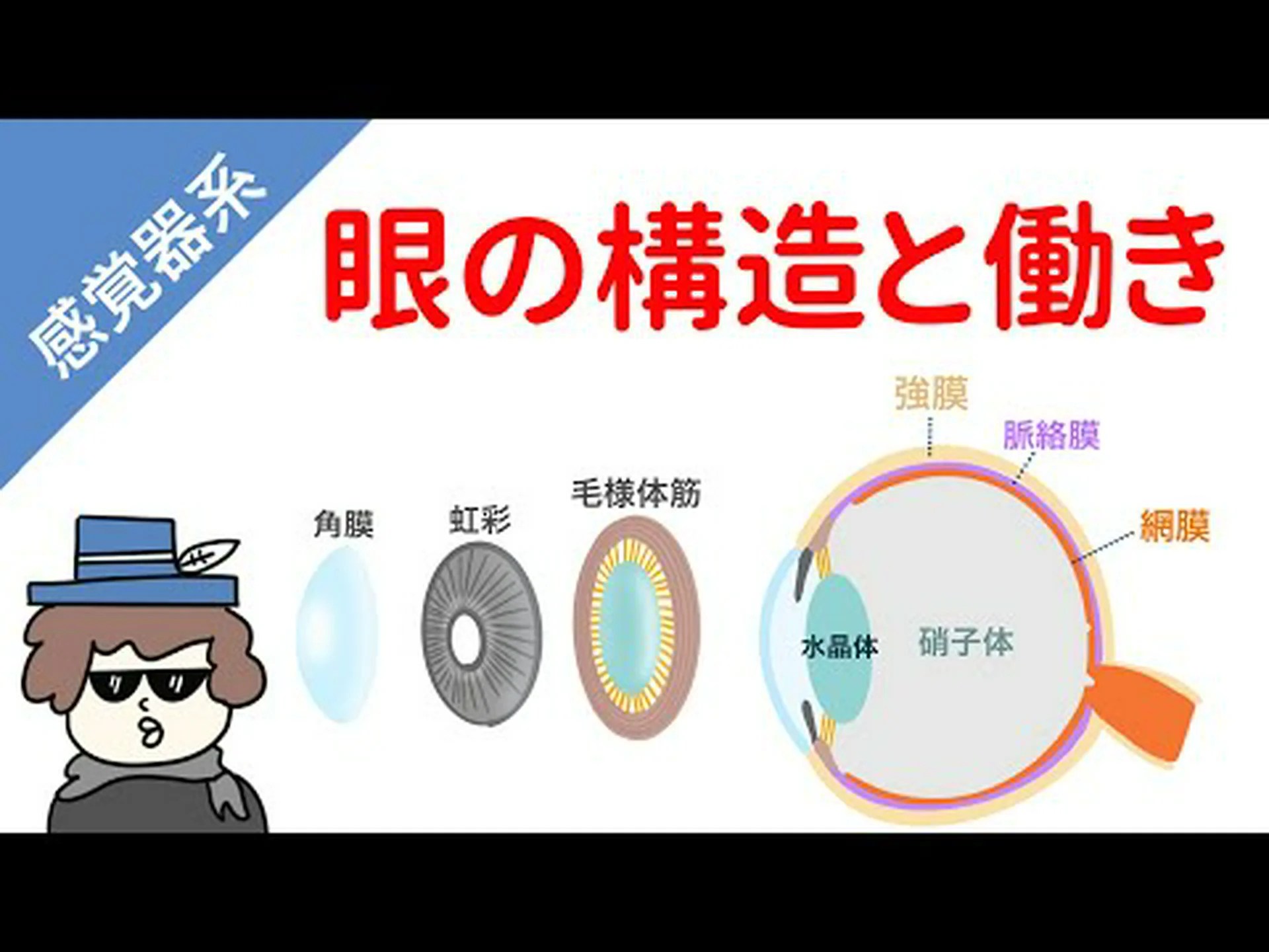 瞳孔の形は生き方を反映する 瞳孔の形は生き方を反映する