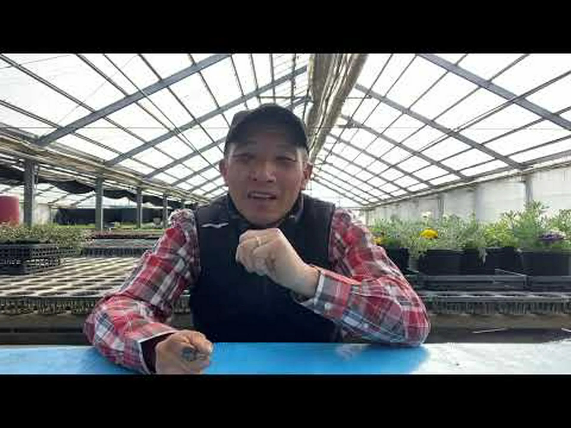 保全園芸の可能性がたくさんある 保全園芸の可能性がたくさんある