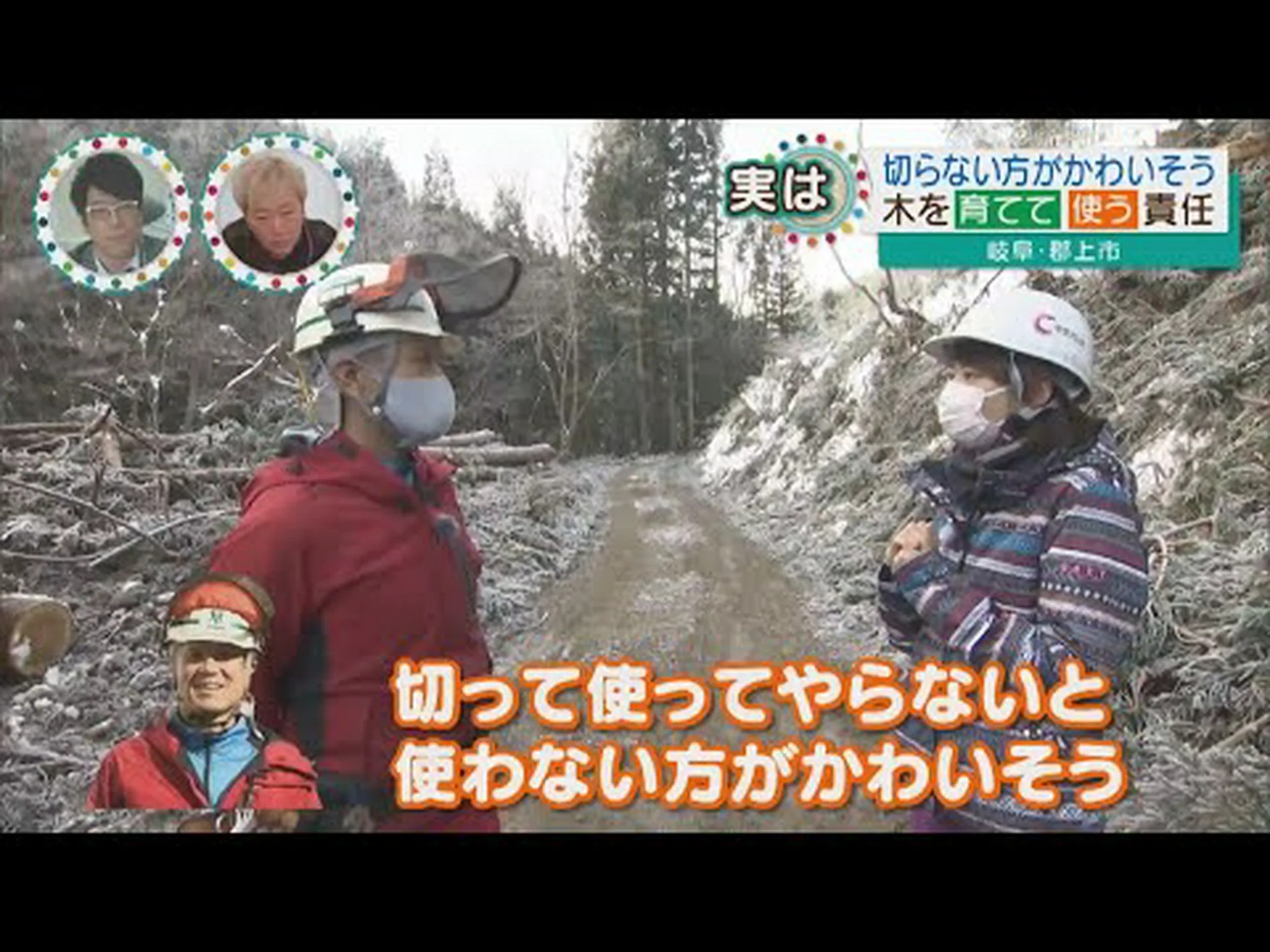 木は自分自身を守る 木は自分自身を守る