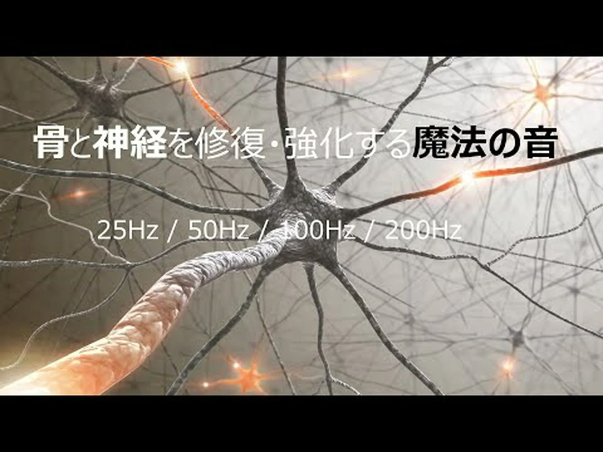修復された視神経 修復された視神経