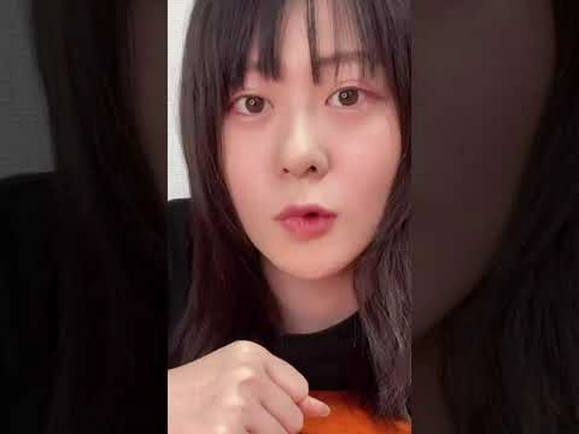 ヤシの木はボロボロの葉でごまかしています:私は不味いです ヤシの木はボロボロの葉でごまかしています:私は不味いです