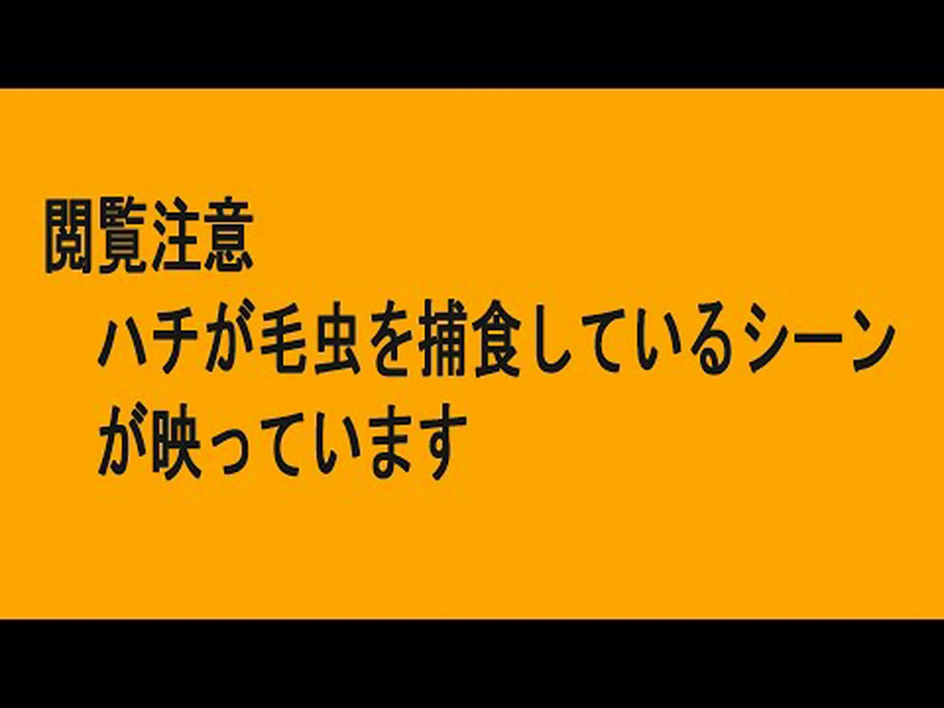 ミツバチのストレス毛虫 ミツバチのストレス毛虫