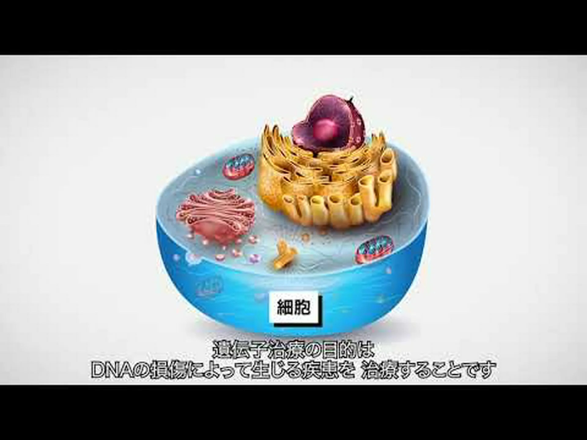 ひどいゲノム ひどいゲノム