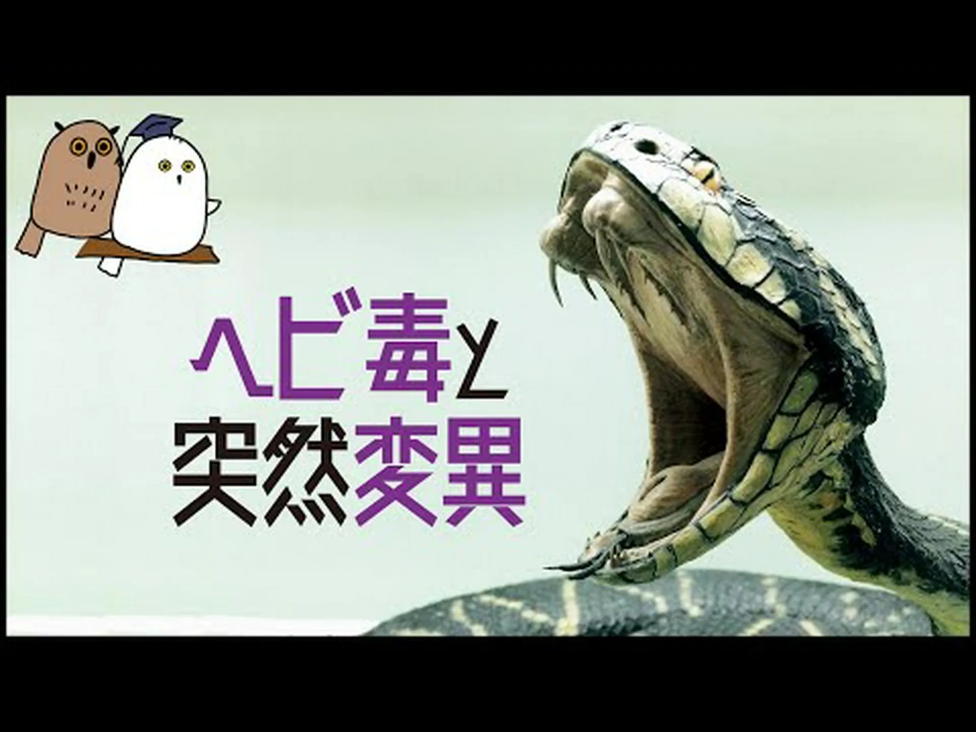 新しい遺伝子型を発見 新しい遺伝子型を発見