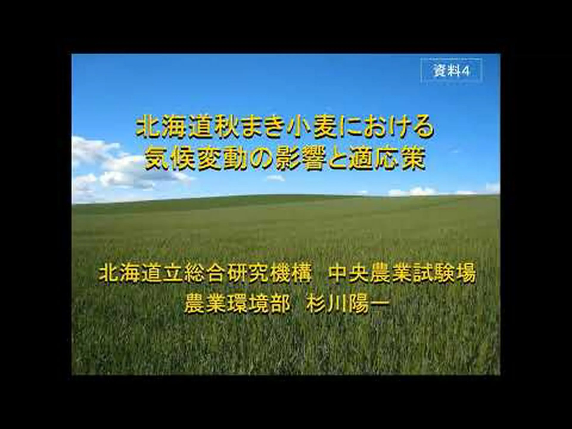 気候変動が小麦栽培を脅かす 気候変動が小麦栽培を脅かす