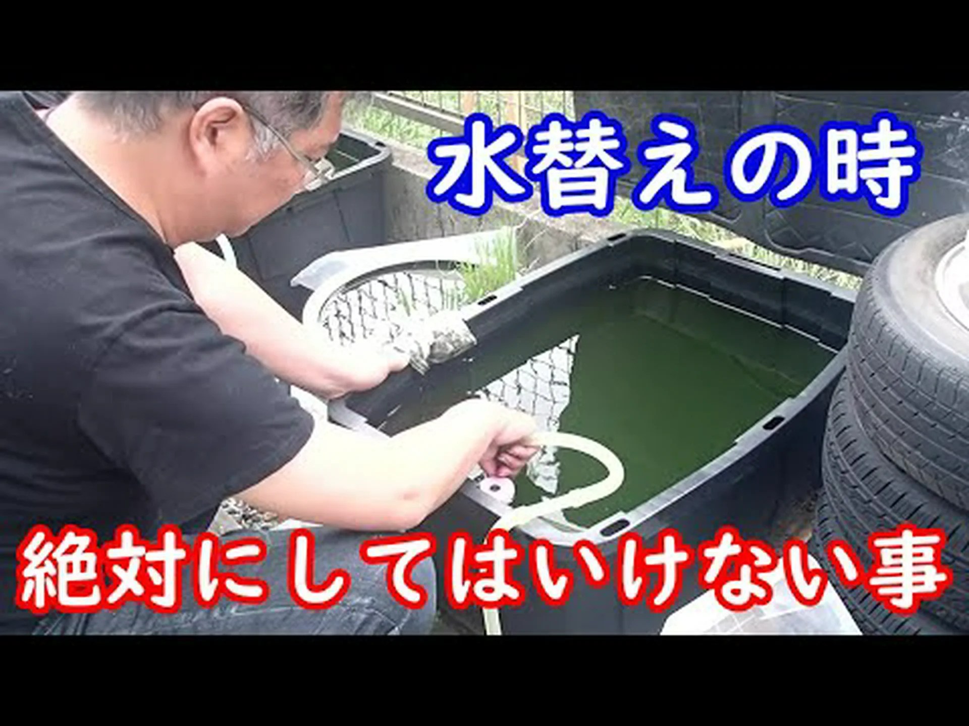 酸性水は稚魚を惑わす 酸性水は稚魚を惑わす