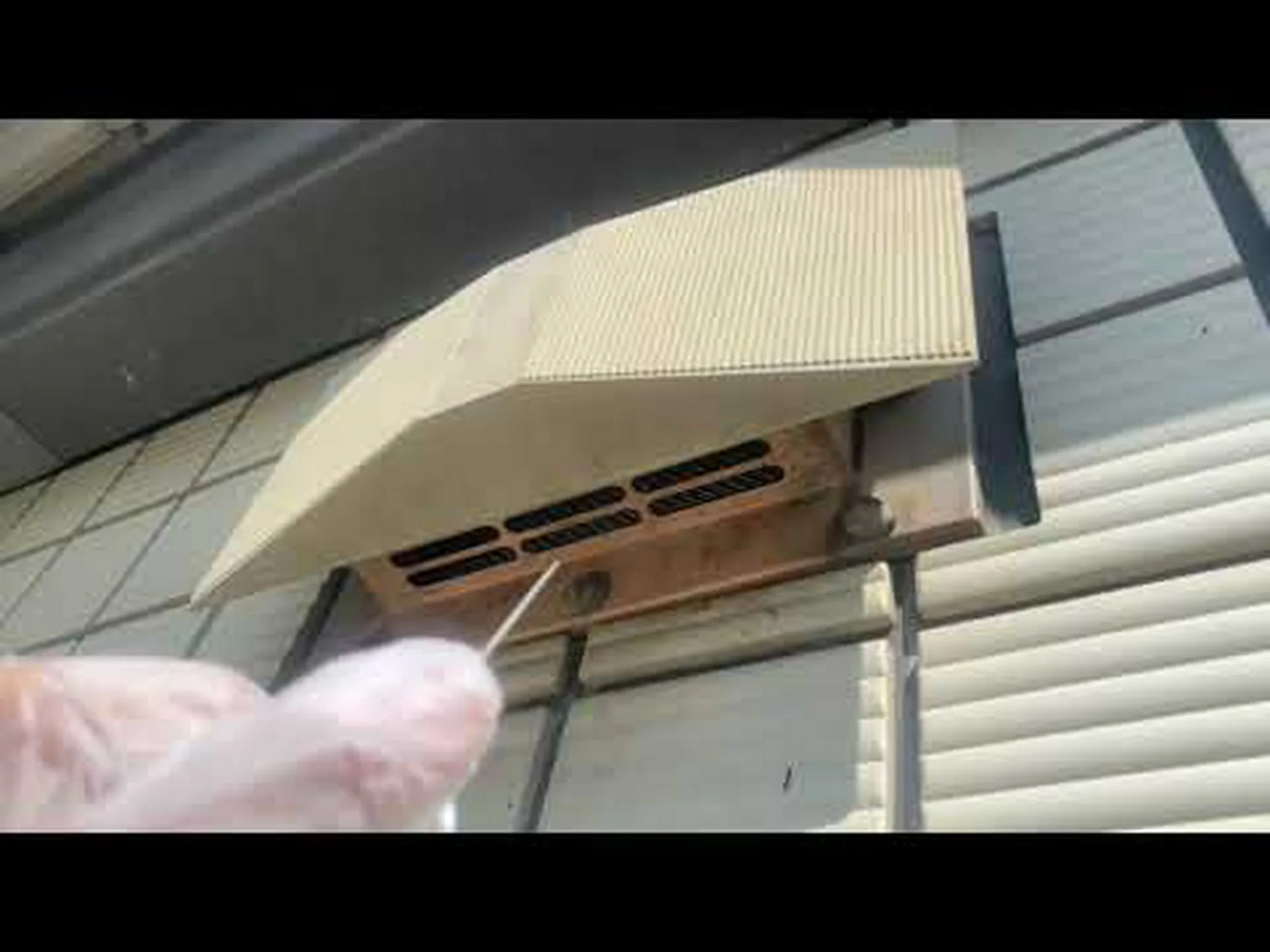 雨を嫌がるコウモリ 雨を嫌がるコウモリ