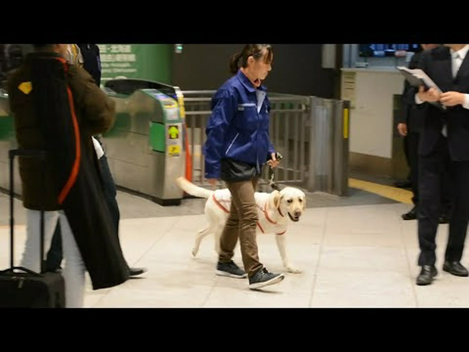 ミニ形式の爆発物探知犬 ミニ形式の爆発物探知犬