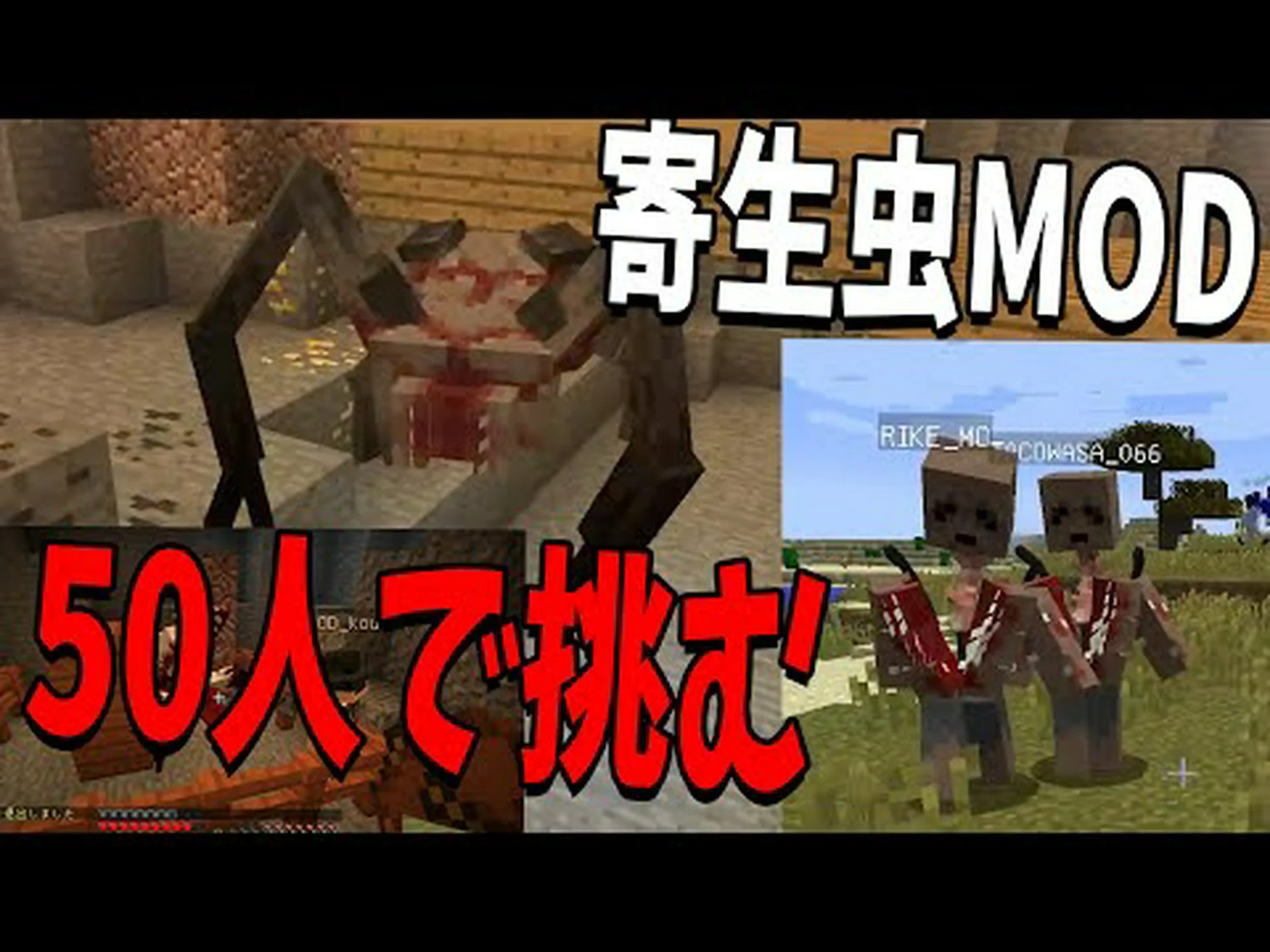 寄生虫の恐怖から永久に解放されます 寄生虫の恐怖から永久に解放されます