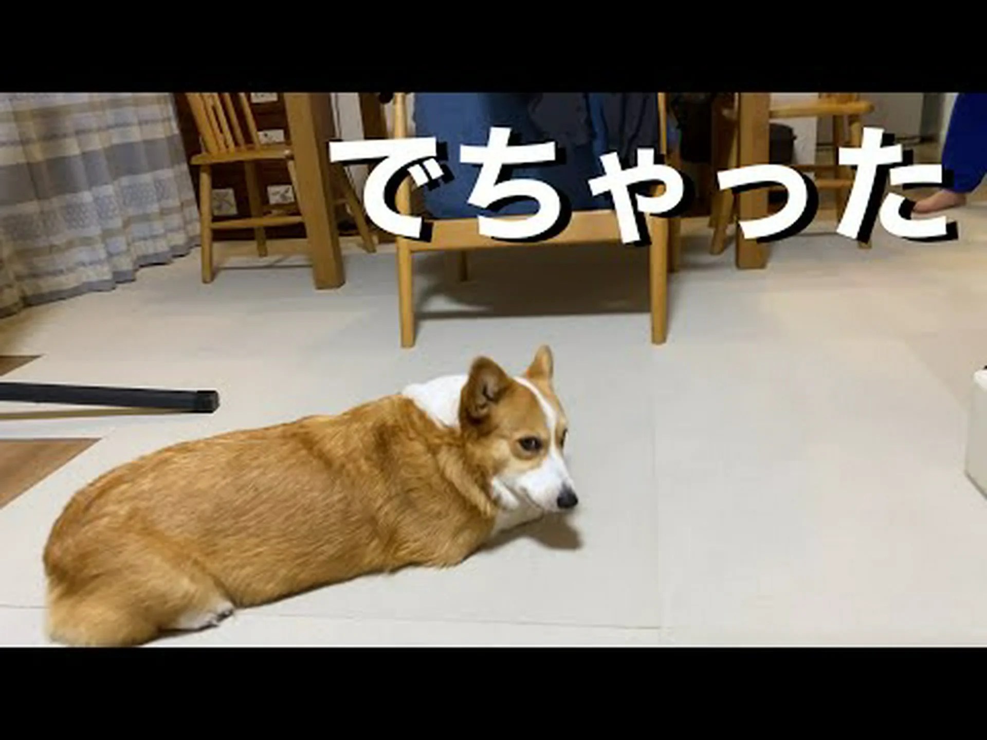 自分の家族が臭い 自分の家族が臭い