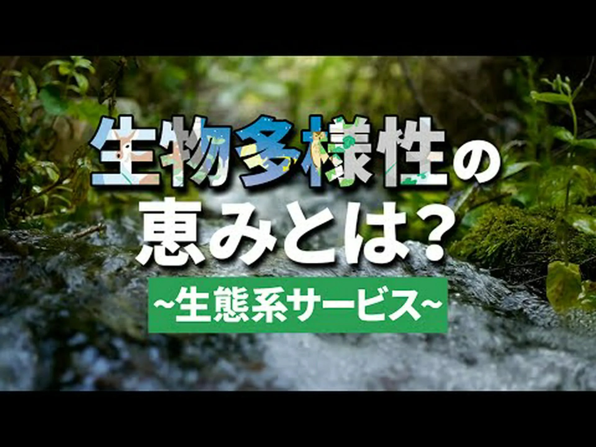 トラの予期せぬ生物多様性 トラの予期せぬ生物多様性