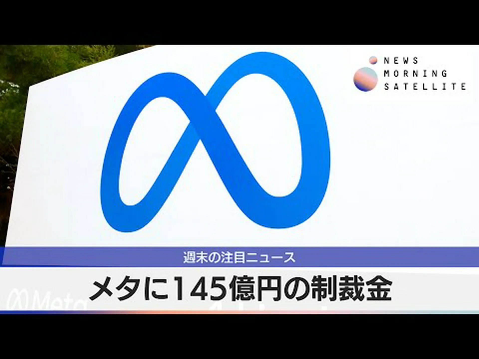 ヒンジタートルが 50,000 ユーロを獲得 ヒンジタートルが 50,000 ユーロを獲得