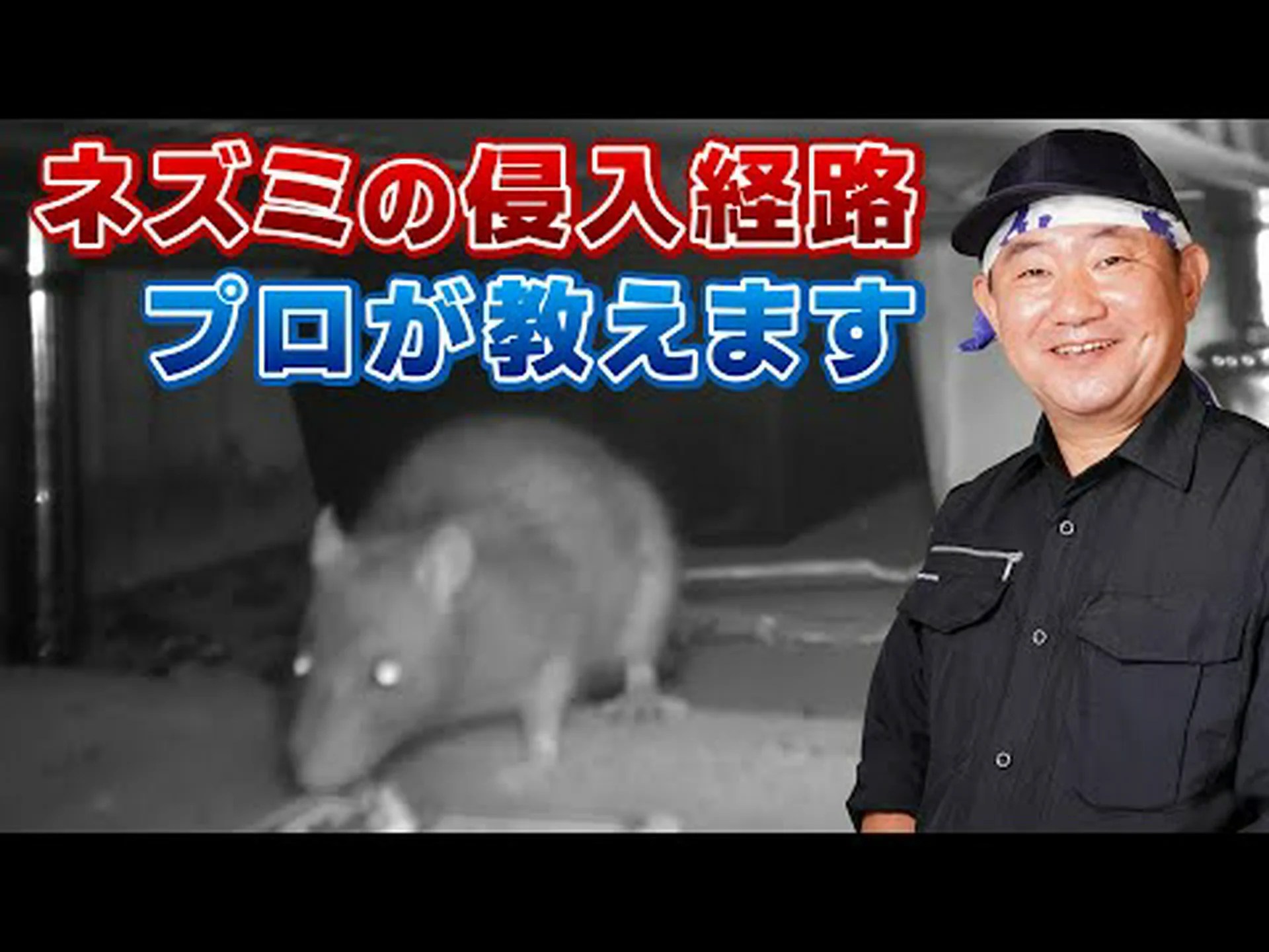 ネズミの子供の陶酔的な嗜好 ネズミの子供の陶酔的な嗜好