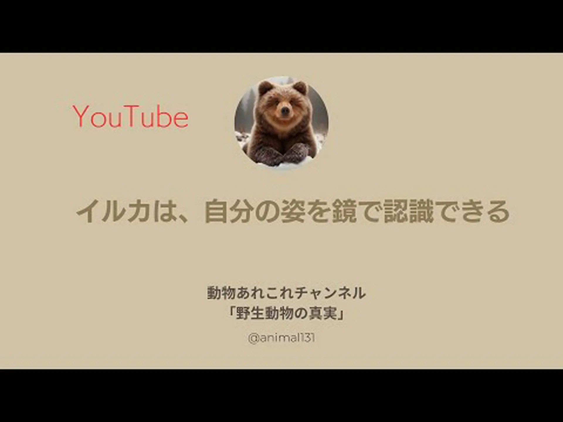 イルカは鏡に映った自分を認識できる イルカは鏡に映った自分を認識できる