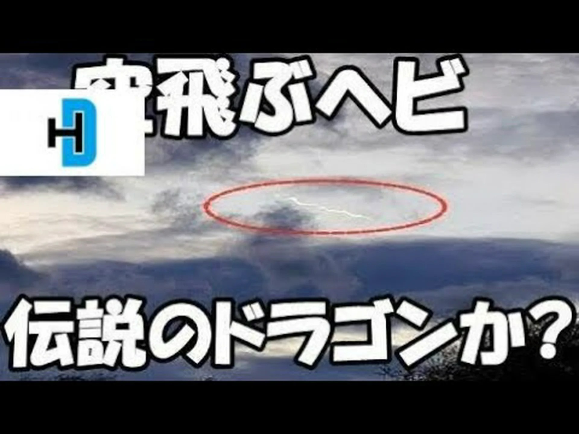 UFO として空を飛ぶヘビ UFO として空を飛ぶヘビ