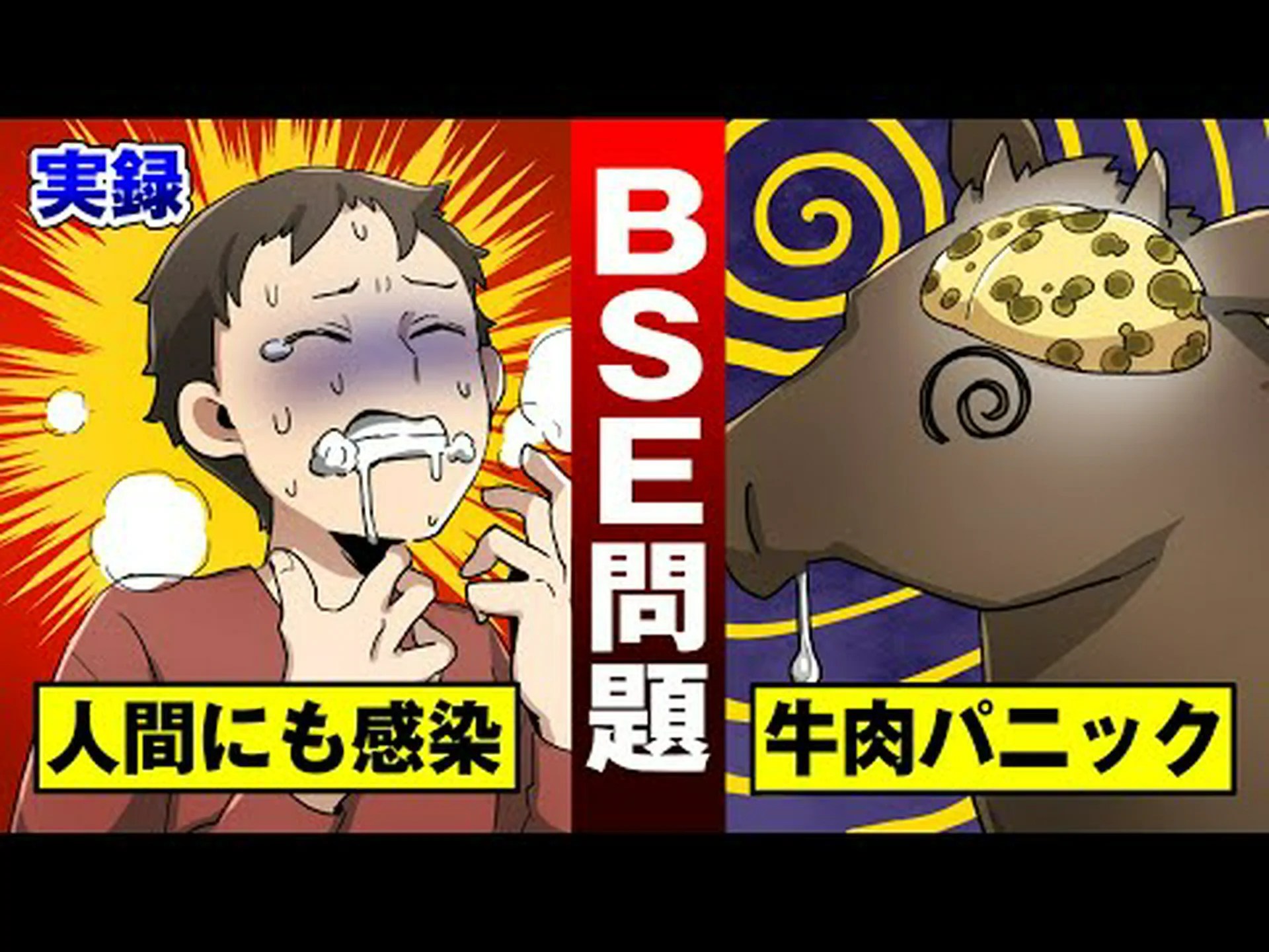 BSE検査は迅速かつ良好 BSE検査は迅速かつ良好