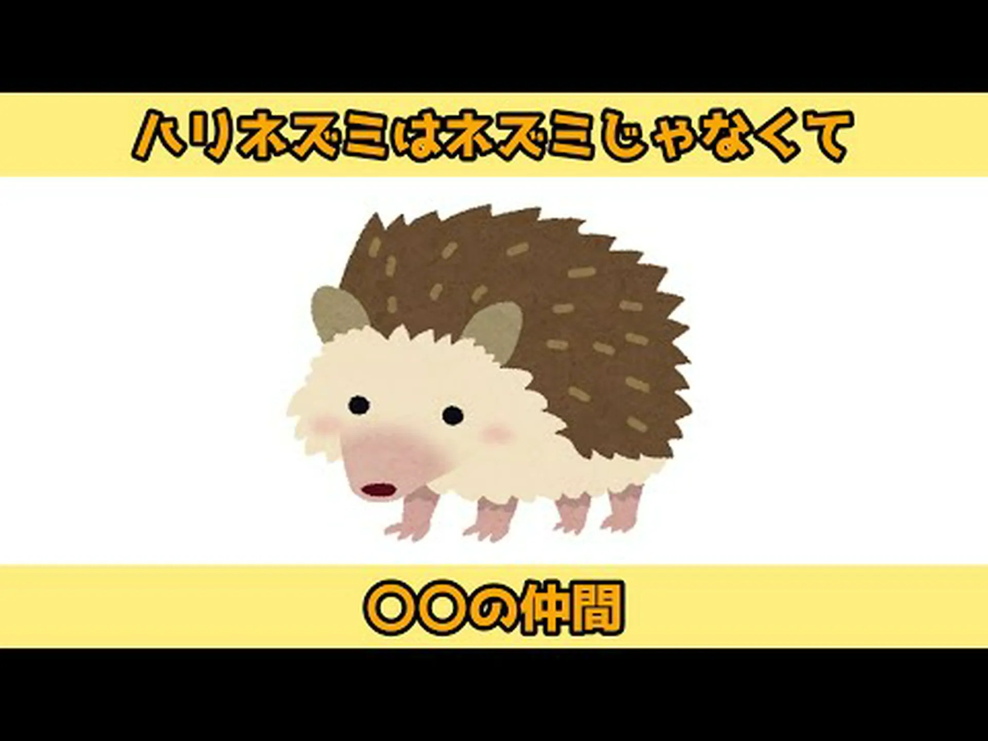 Clairaudient 厚皮動物 Clairaudient 厚皮動物