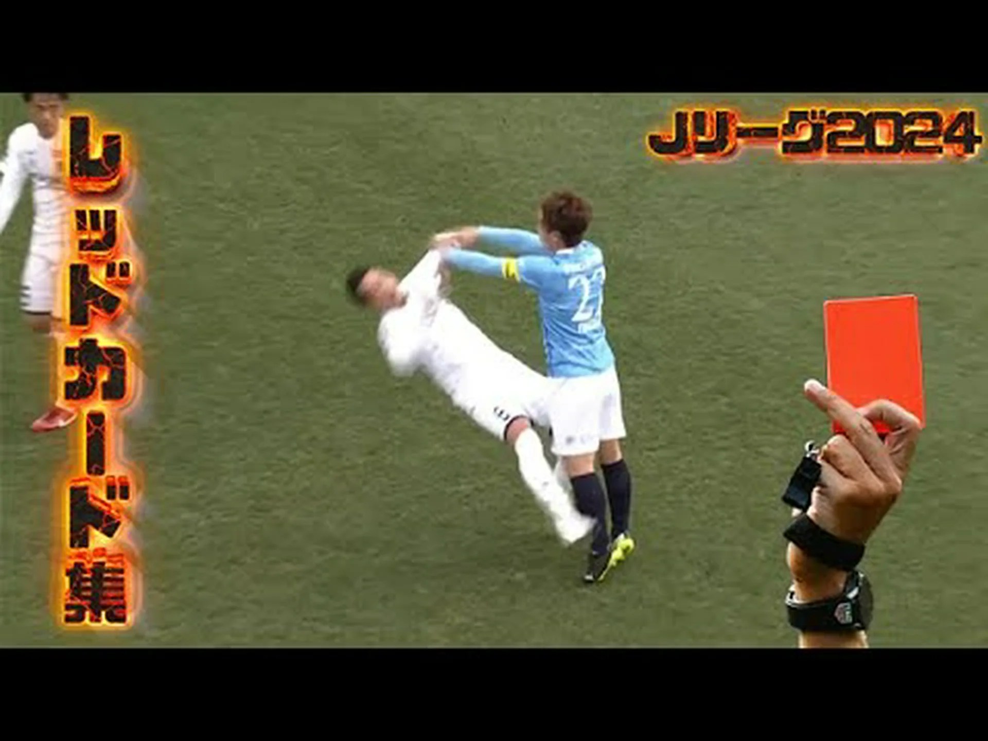 アレルギーのレッドカード アレルギーのレッドカード