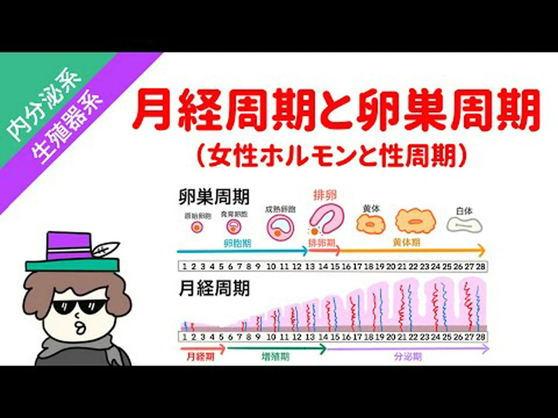 最初の月経周期は「試験管の中」 最初の月経周期は「試験管の中」