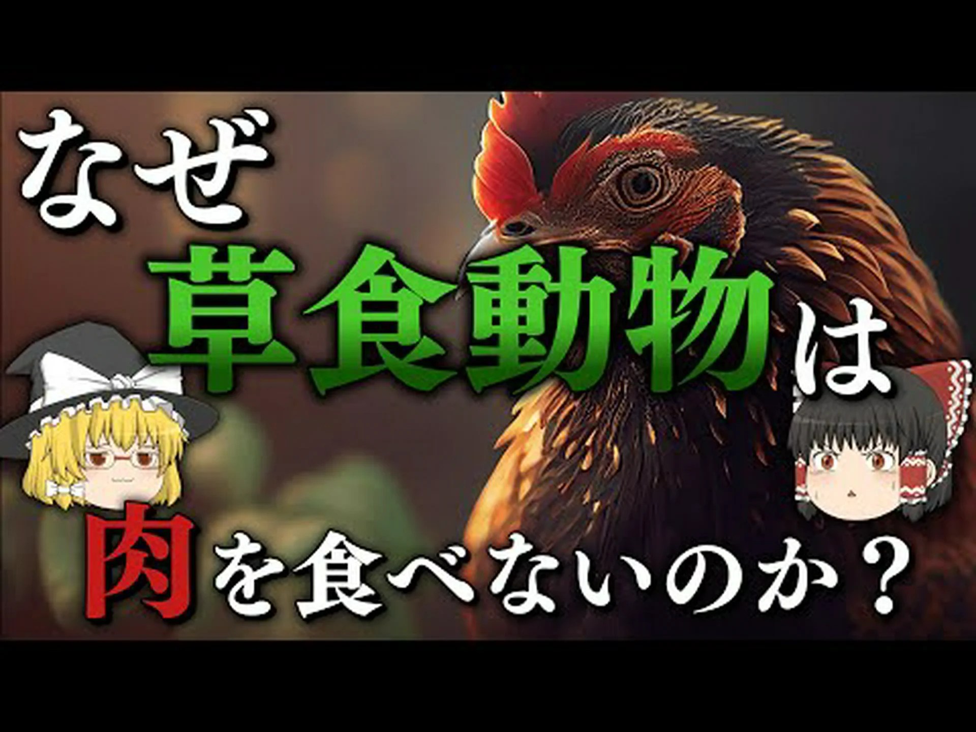 リトル雑食動物 リトル雑食動物