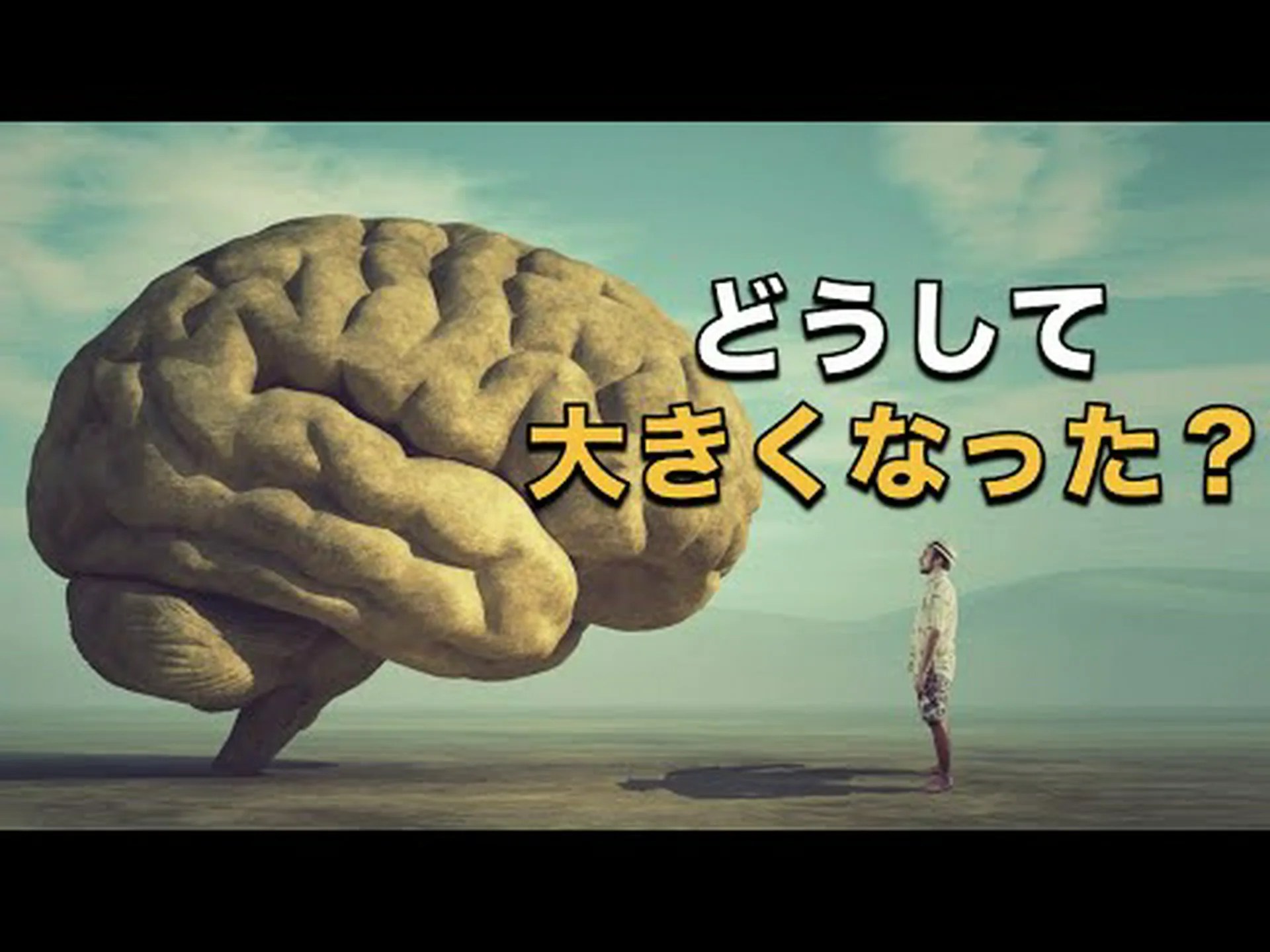 進化: 何が脳の成長を遅らせたのでしょうか? 進化: 何が脳の成長を遅らせたのでしょうか?