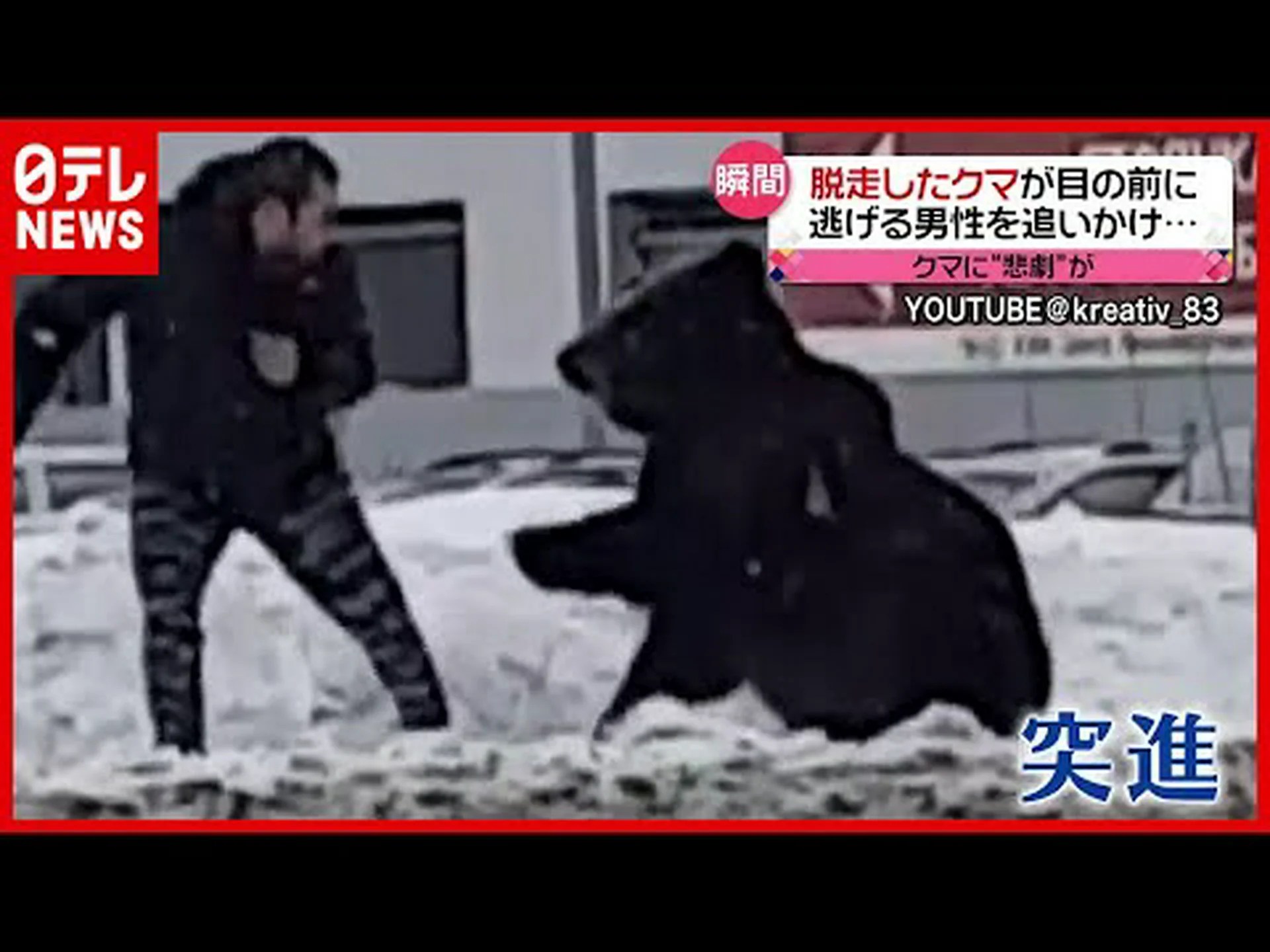 アーフォーゲルは驚きを引き起こす アーフォーゲルは驚きを引き起こす