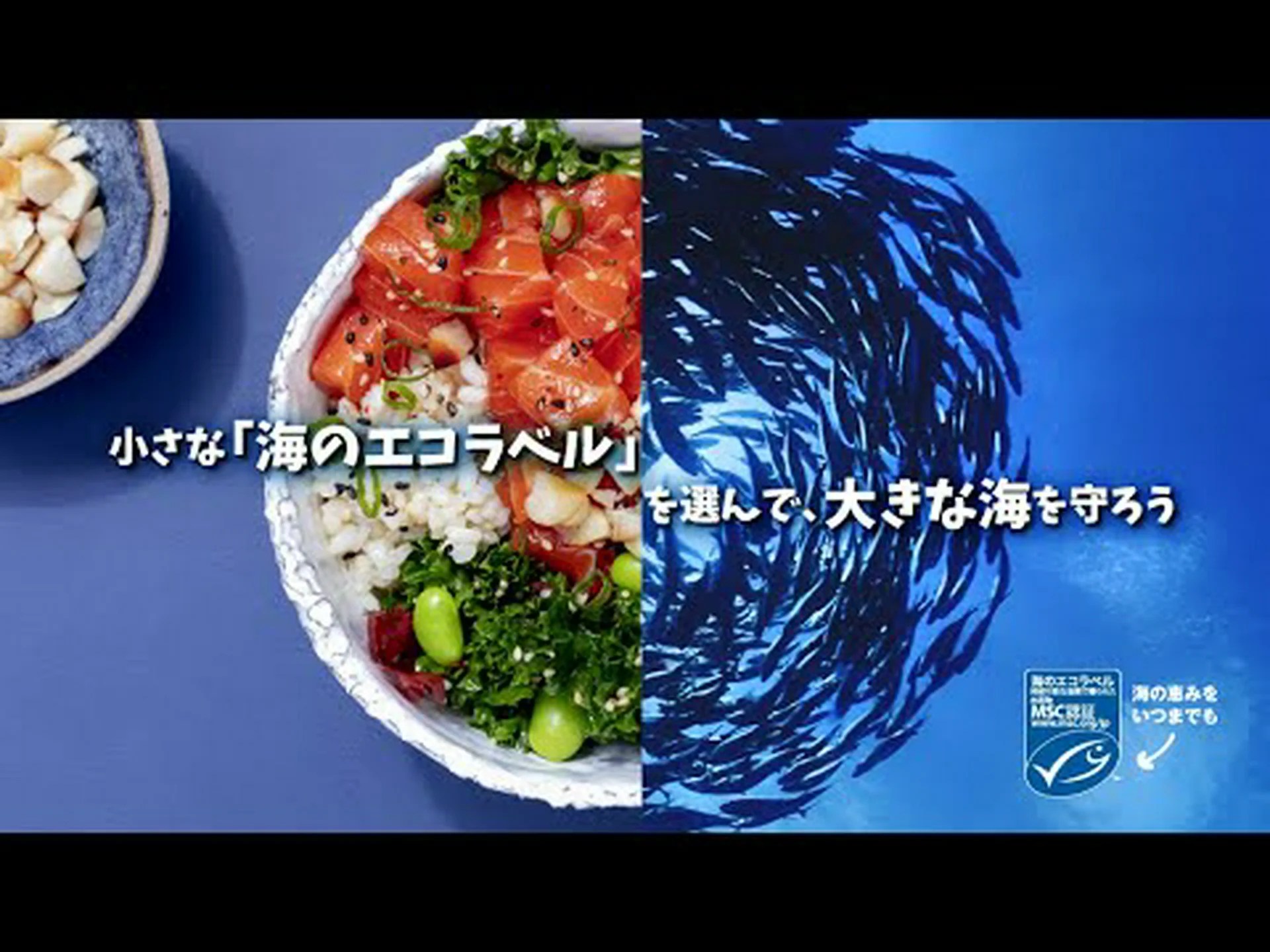 海洋管理評議会 (MSC) の 20 年 海洋管理評議会 (MSC) の 20 年