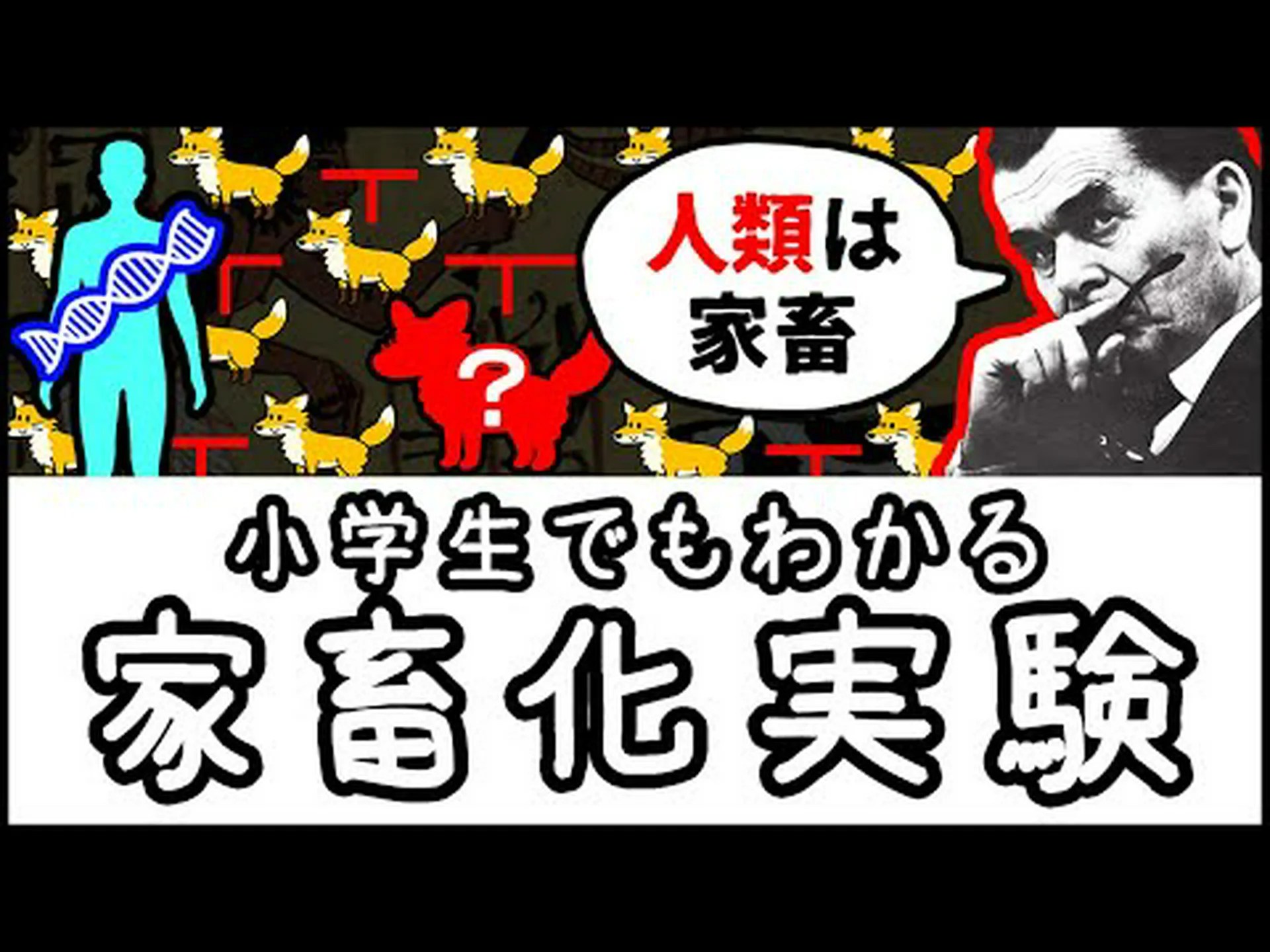 時代を超えた家畜たち 時代を超えた家畜たち