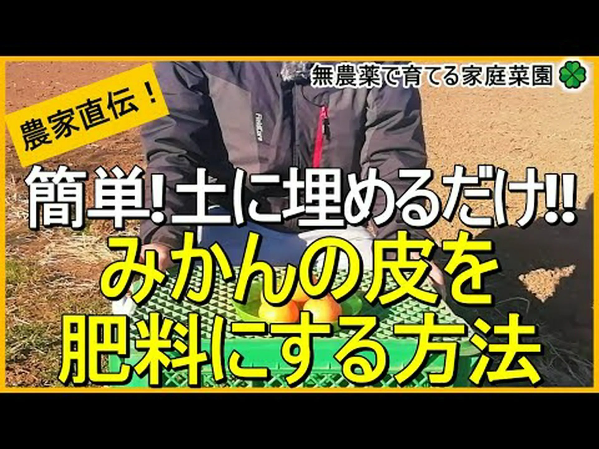 熱帯雨林の肥料としてのオレンジの皮 熱帯雨林の肥料としてのオレンジの皮