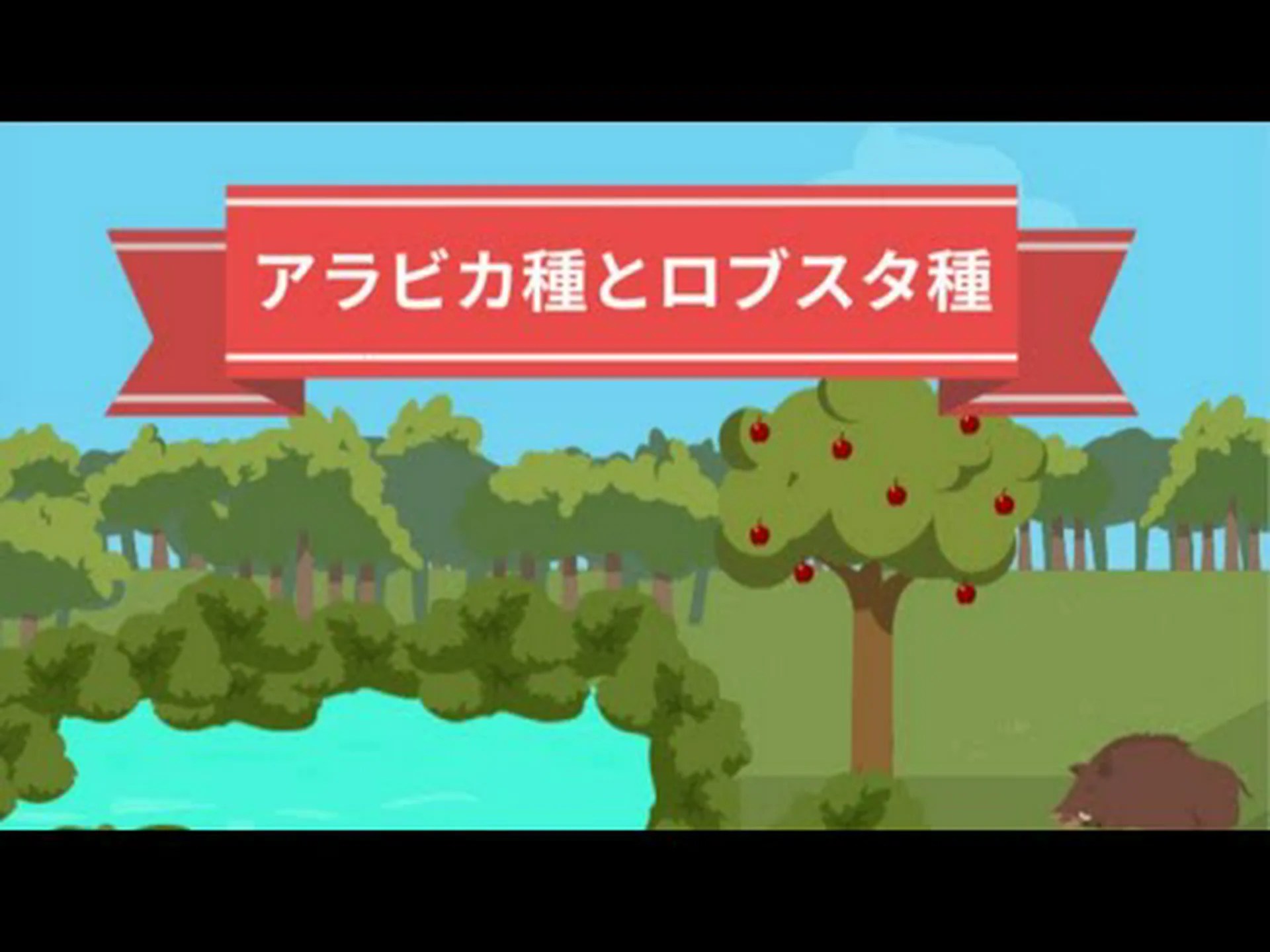 アラビカ種コーヒーのゲノムを詳細に解読 アラビカ種コーヒーのゲノムを詳細に解読