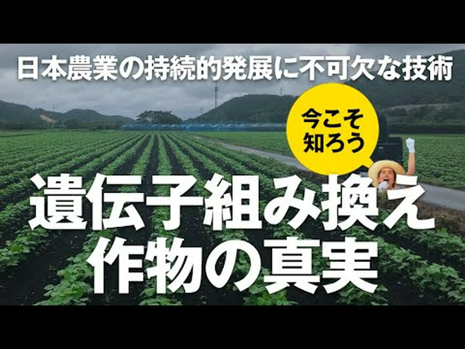 GM植物は超雑草ではない GM植物は超雑草ではない