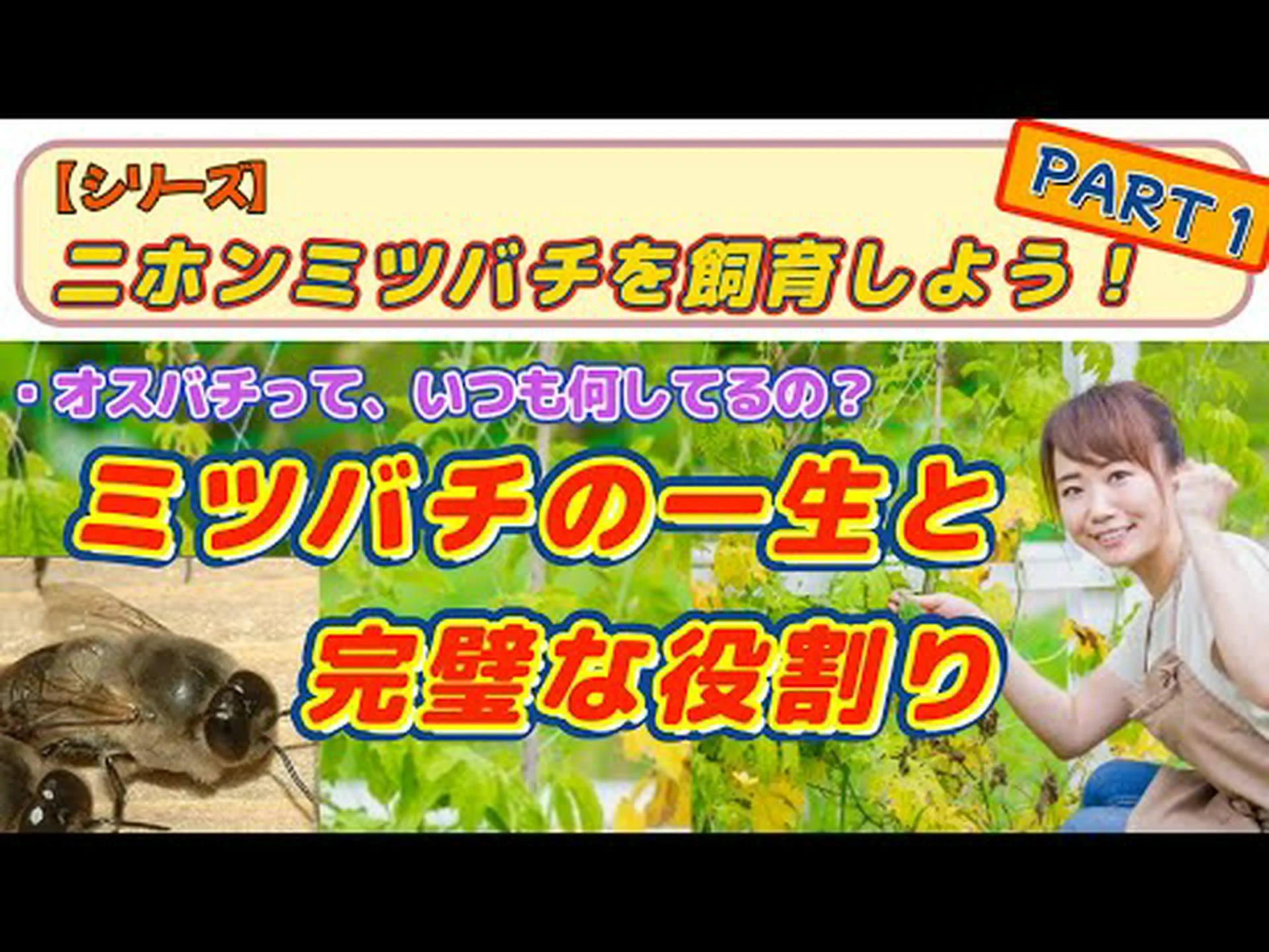 ミツバチはこれまで考えられていたよりも賢い ミツバチはこれまで考えられていたよりも賢い