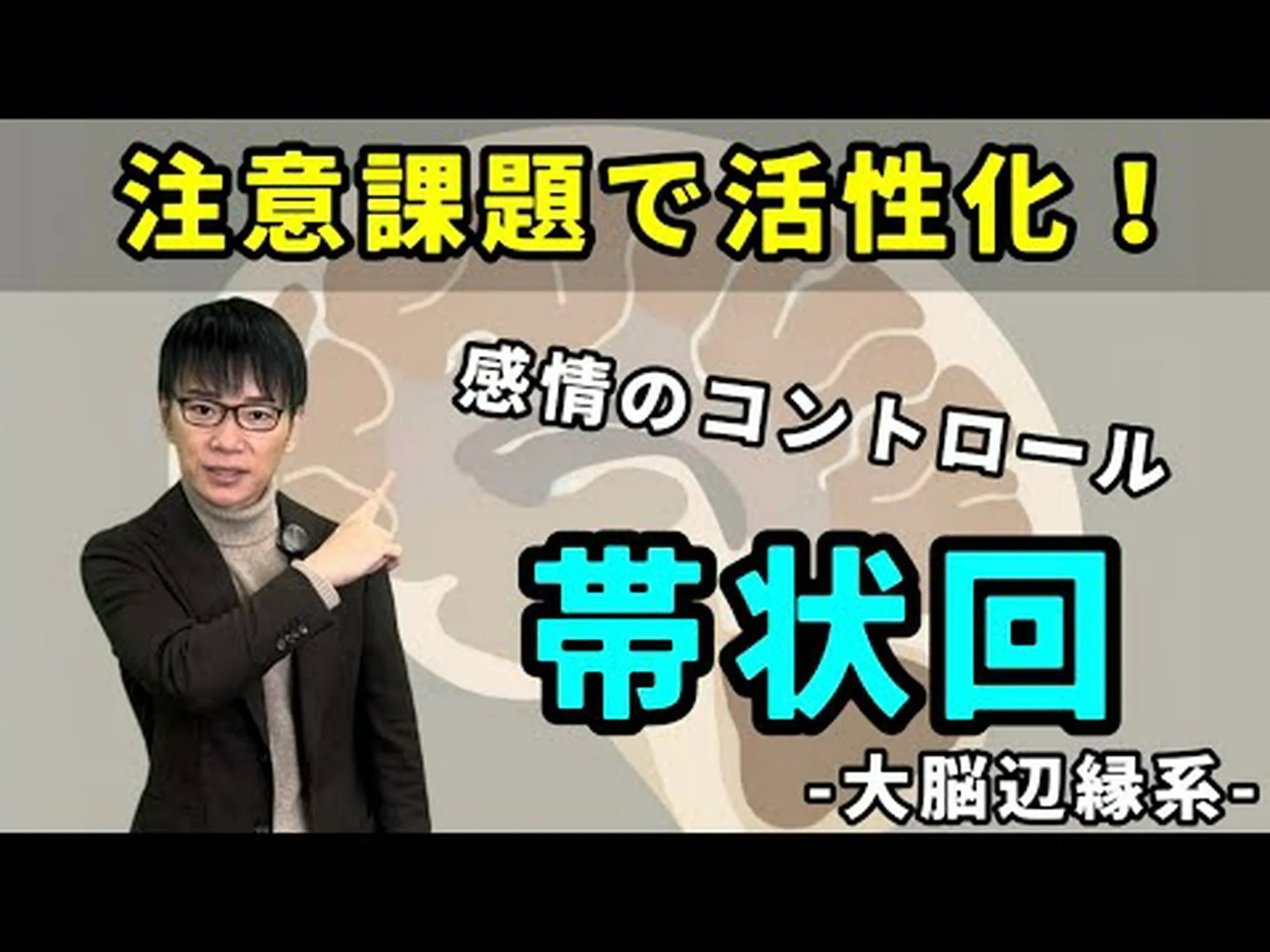 運動皮質は意思決定に影響を与えるのでしょうか? 運動皮質は意思決定に影響を与えるのでしょうか?