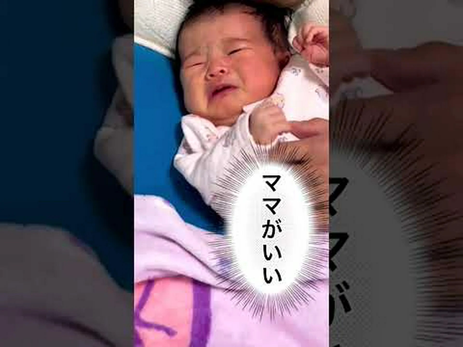 完全にパパ 完全にパパ