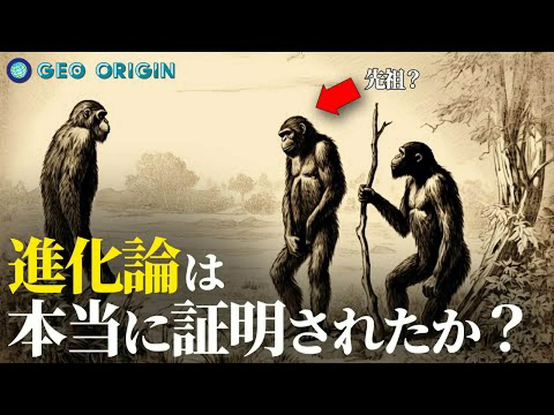 進化の仕組み 進化の仕組み