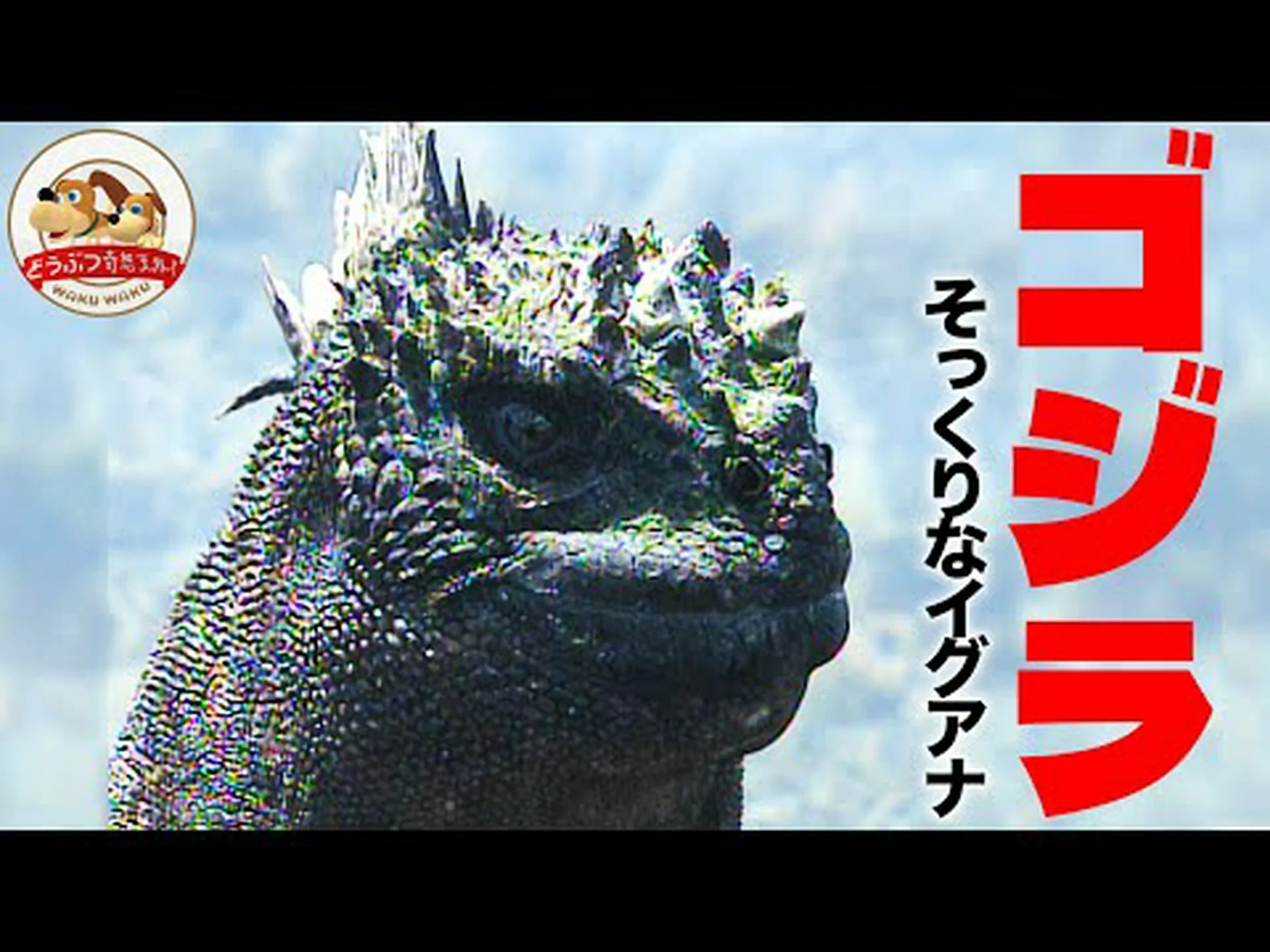 「古代の蛇」の化石はウミイグアナ 「古代の蛇」の化石はウミイグアナ