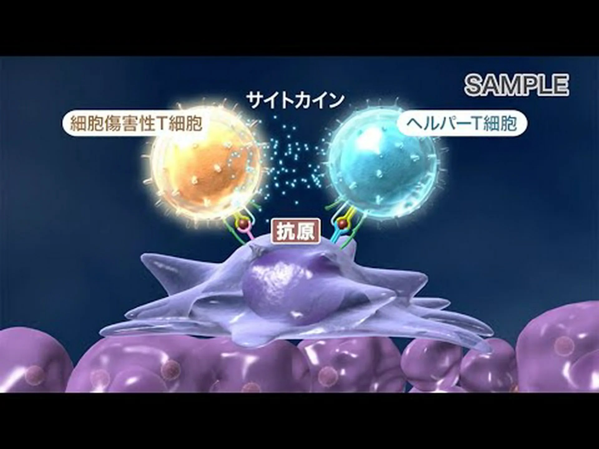 悪性脳腫瘍が免疫システムを無害にするしくみ 悪性脳腫瘍が免疫システムを無害にするしくみ