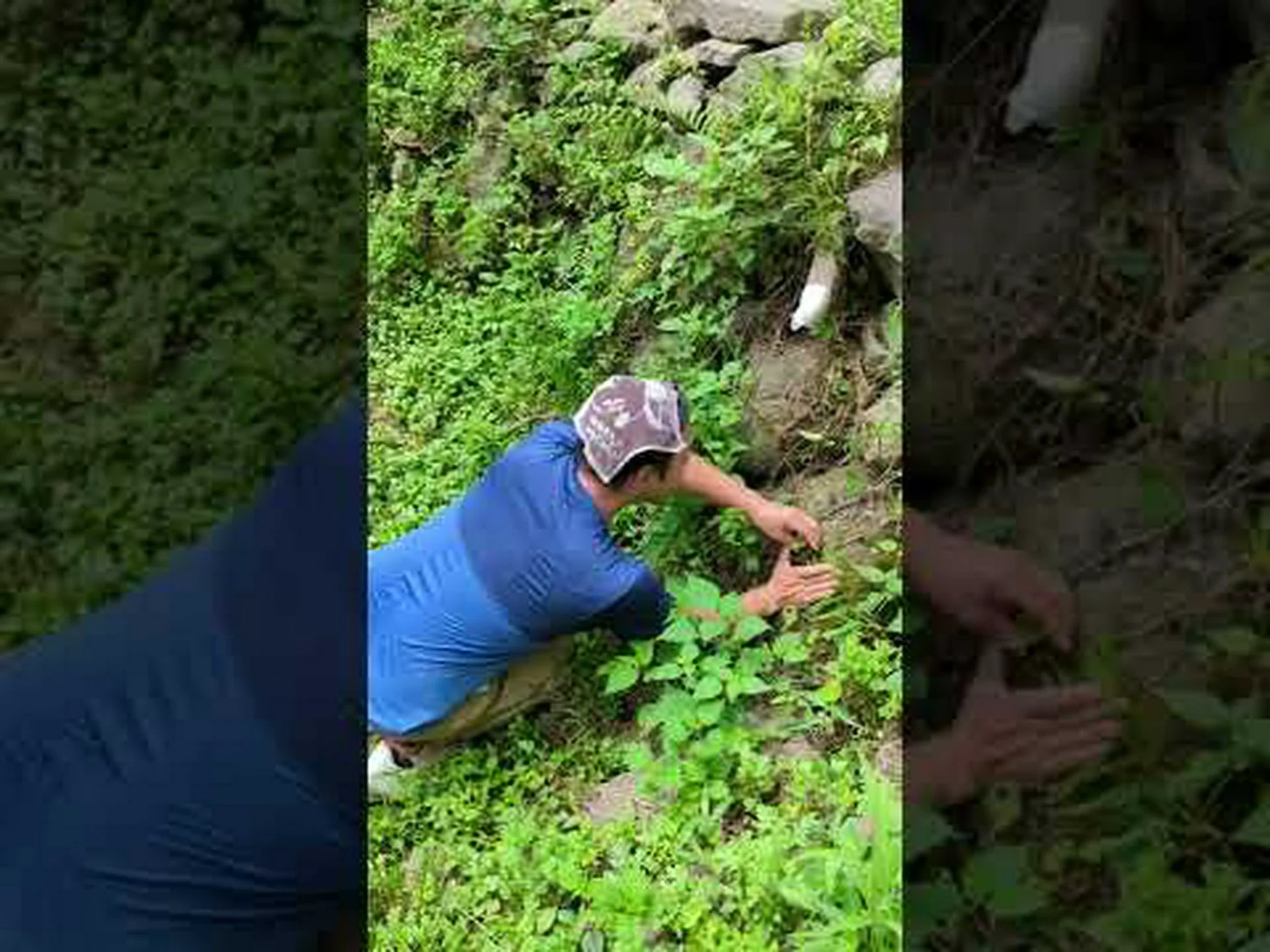 トカゲが強引な恋人を追い出す方法 トカゲが強引な恋人を追い出す方法