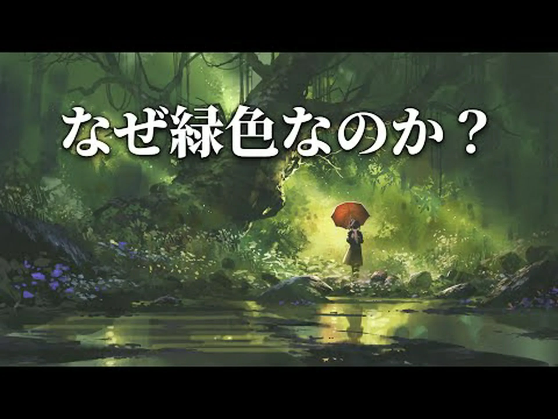 最初の太陽の光で苗が緑色に変わるのはなぜですか 最初の太陽の光で苗が緑色に変わるのはなぜですか