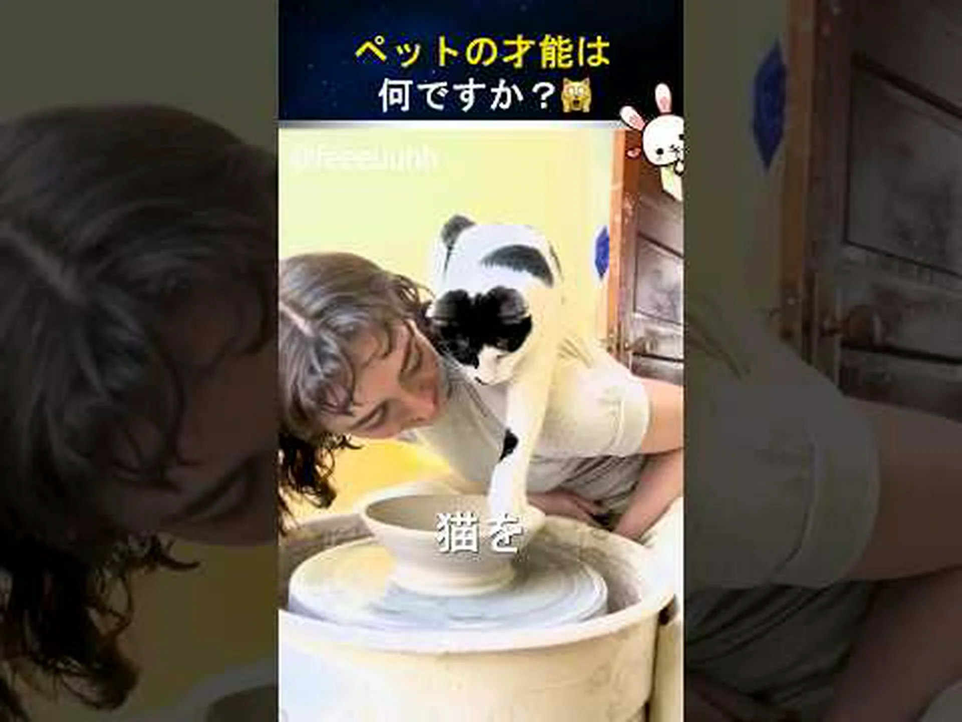 テネリフェ島:致命的な食べ物の好みを持つウサギ テネリフェ島:致命的な食べ物の好みを持つウサギ