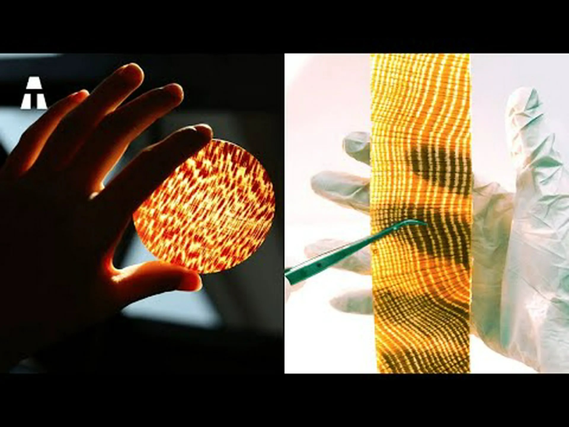 木くずからの化学原料 木くずからの化学原料