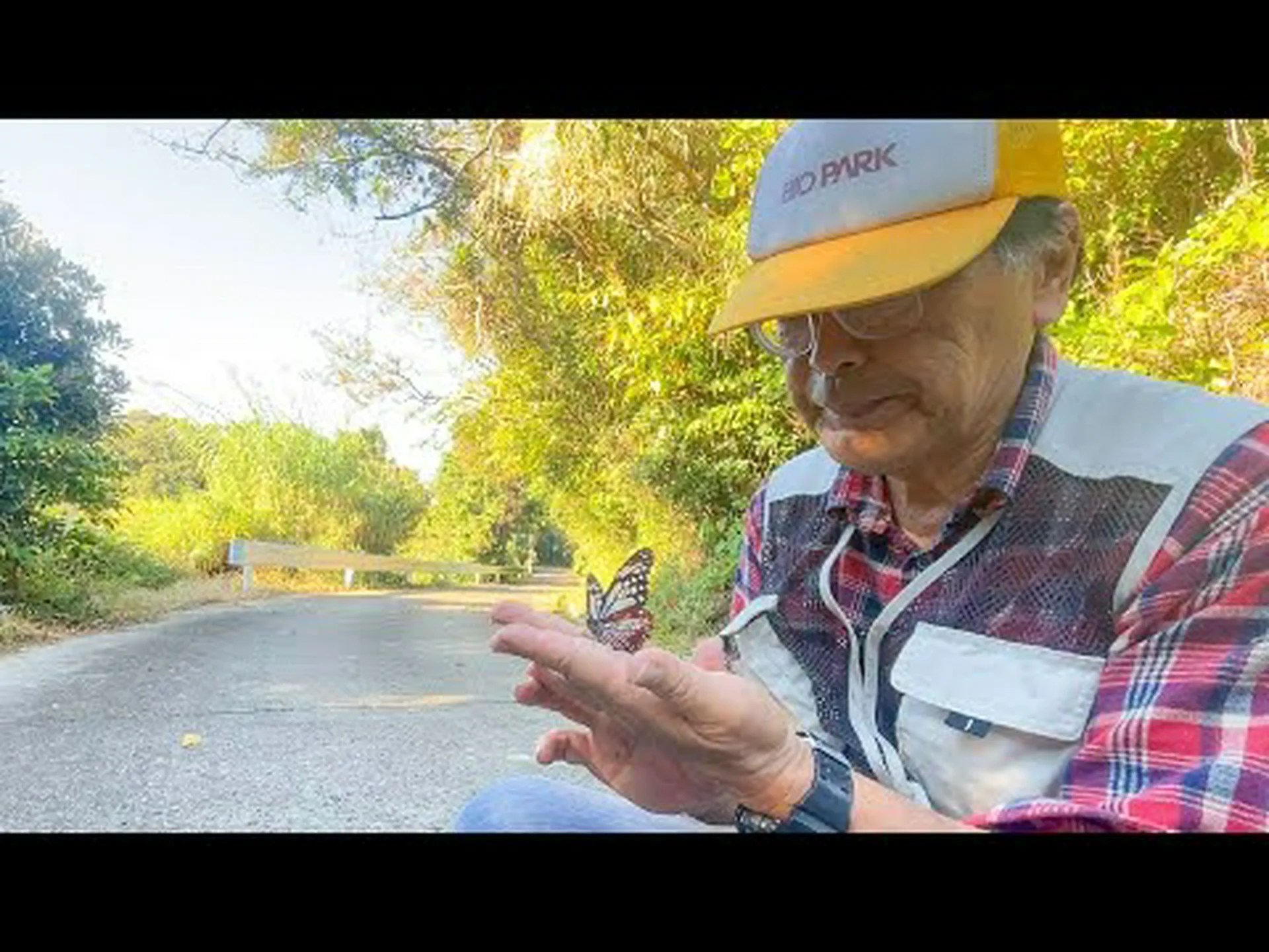 参加キャンペーン:渡り蝶をレポート! 参加キャンペーン:渡り蝶をレポート!