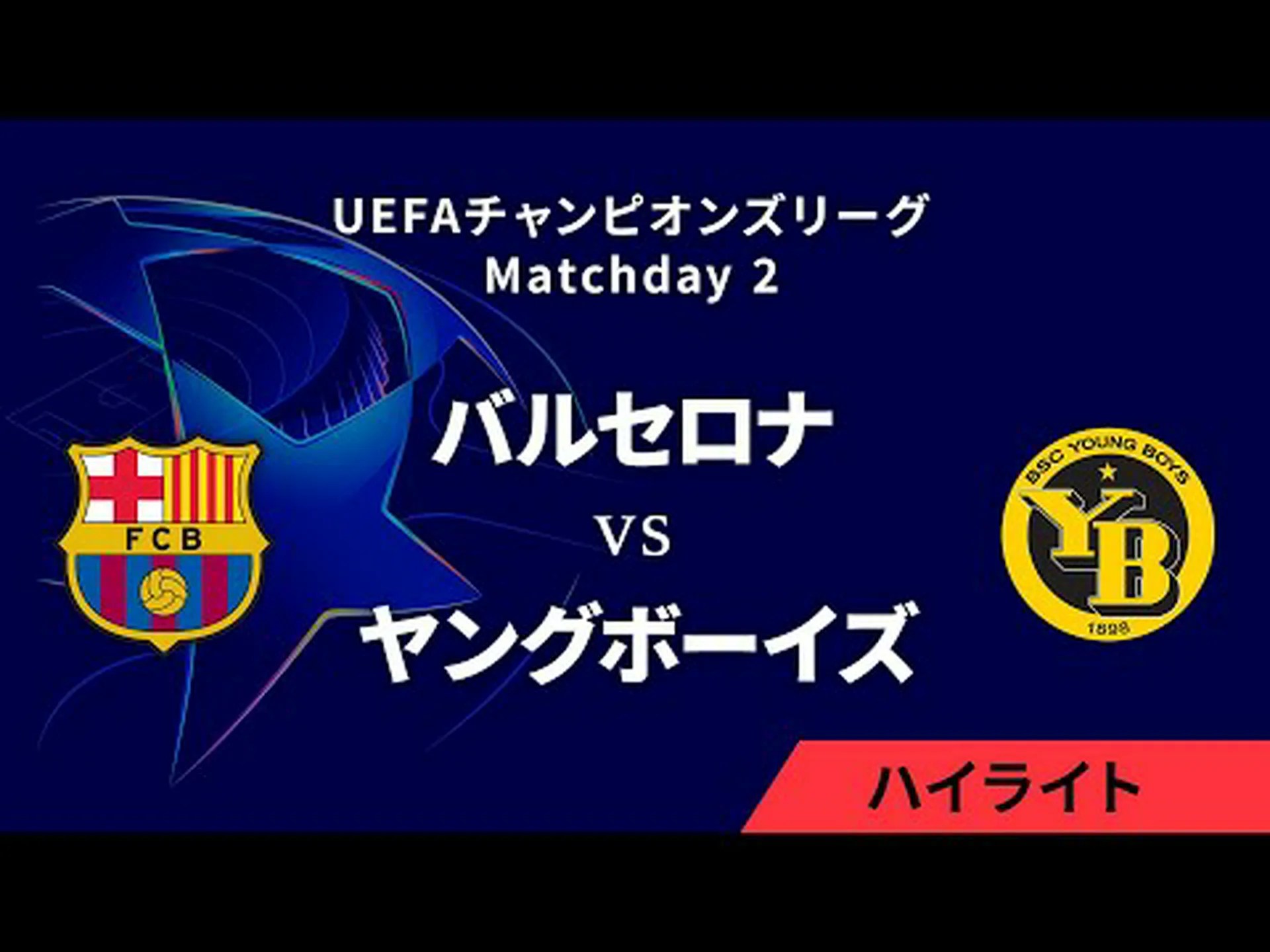 スペインが欧州チャンピオンに スペインが欧州チャンピオンに