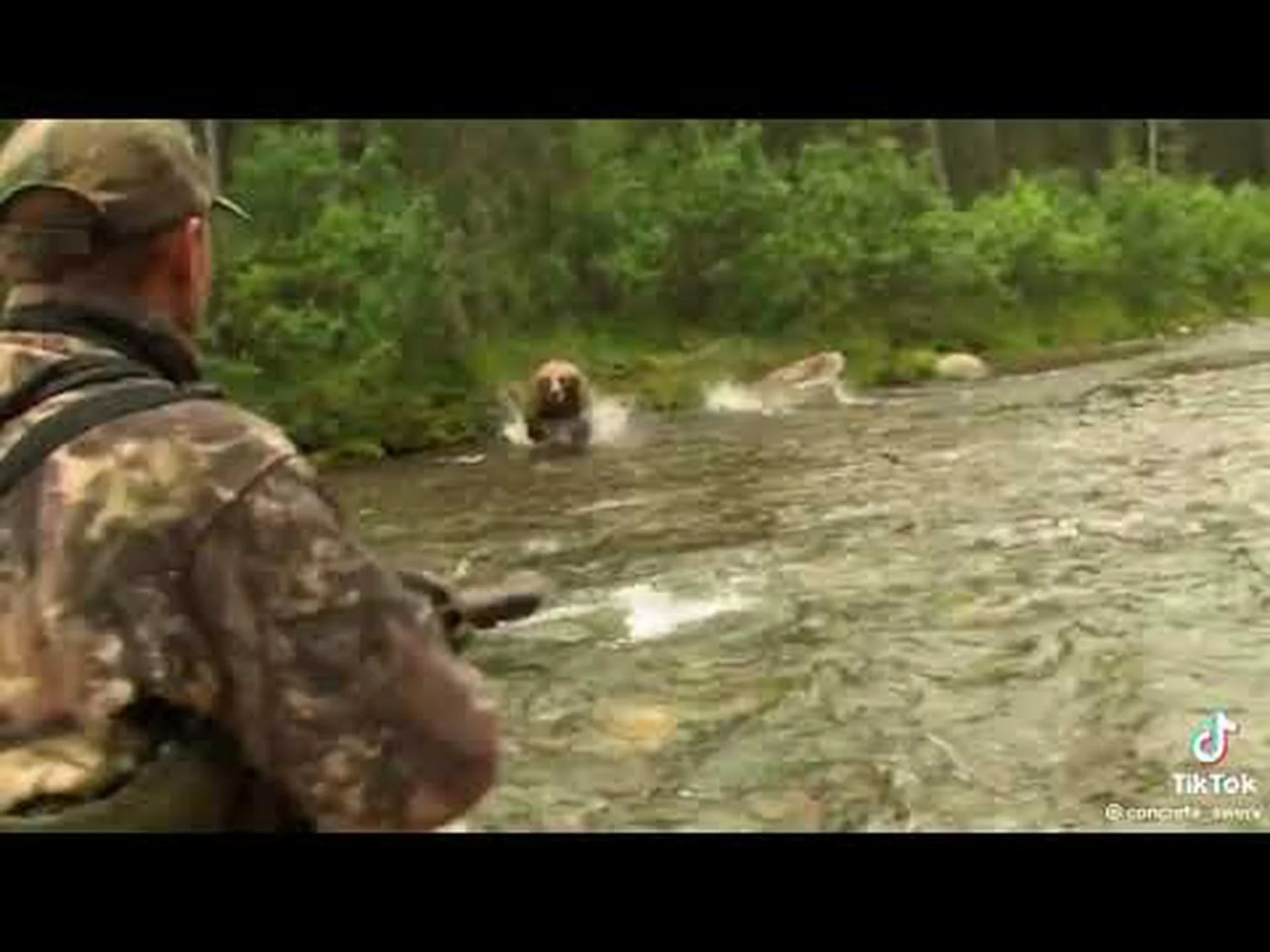 となりのグリズリー となりのグリズリー