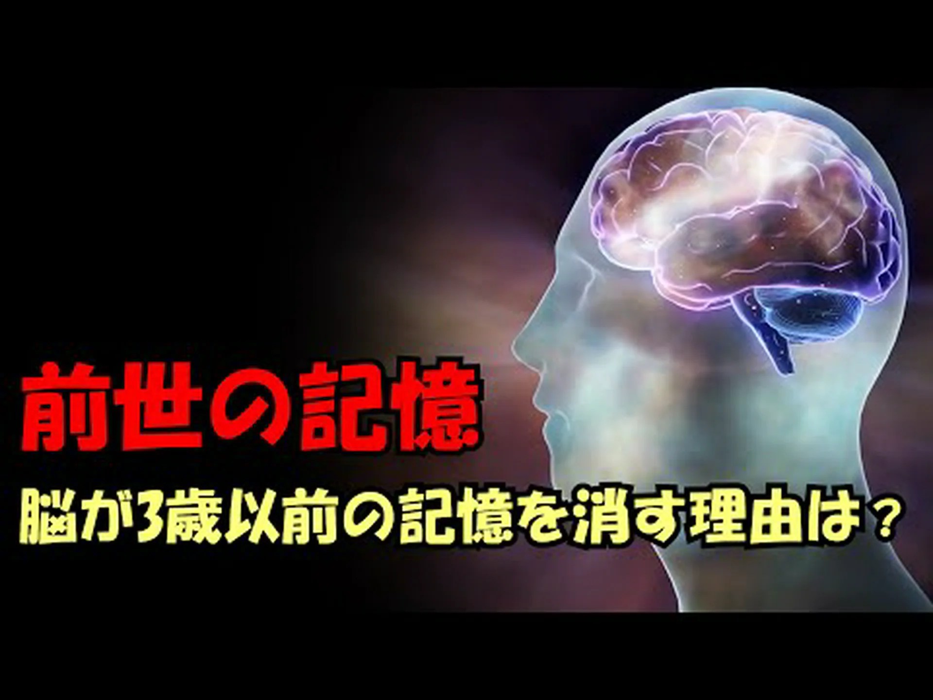 幼少期の記憶の構造は文化に依存する 幼少期の記憶の構造は文化に依存する