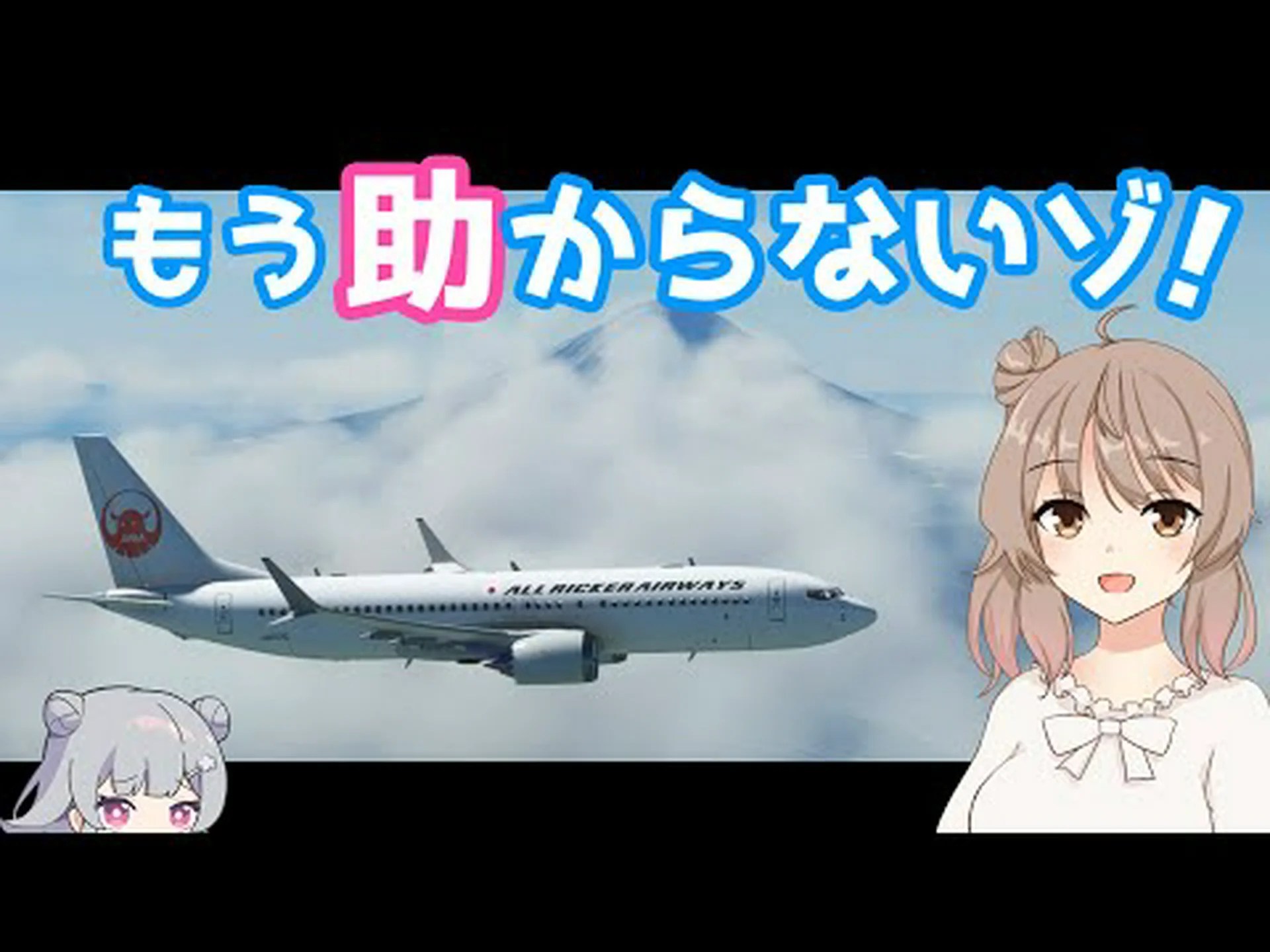 航空便による環境毒 航空便による環境毒